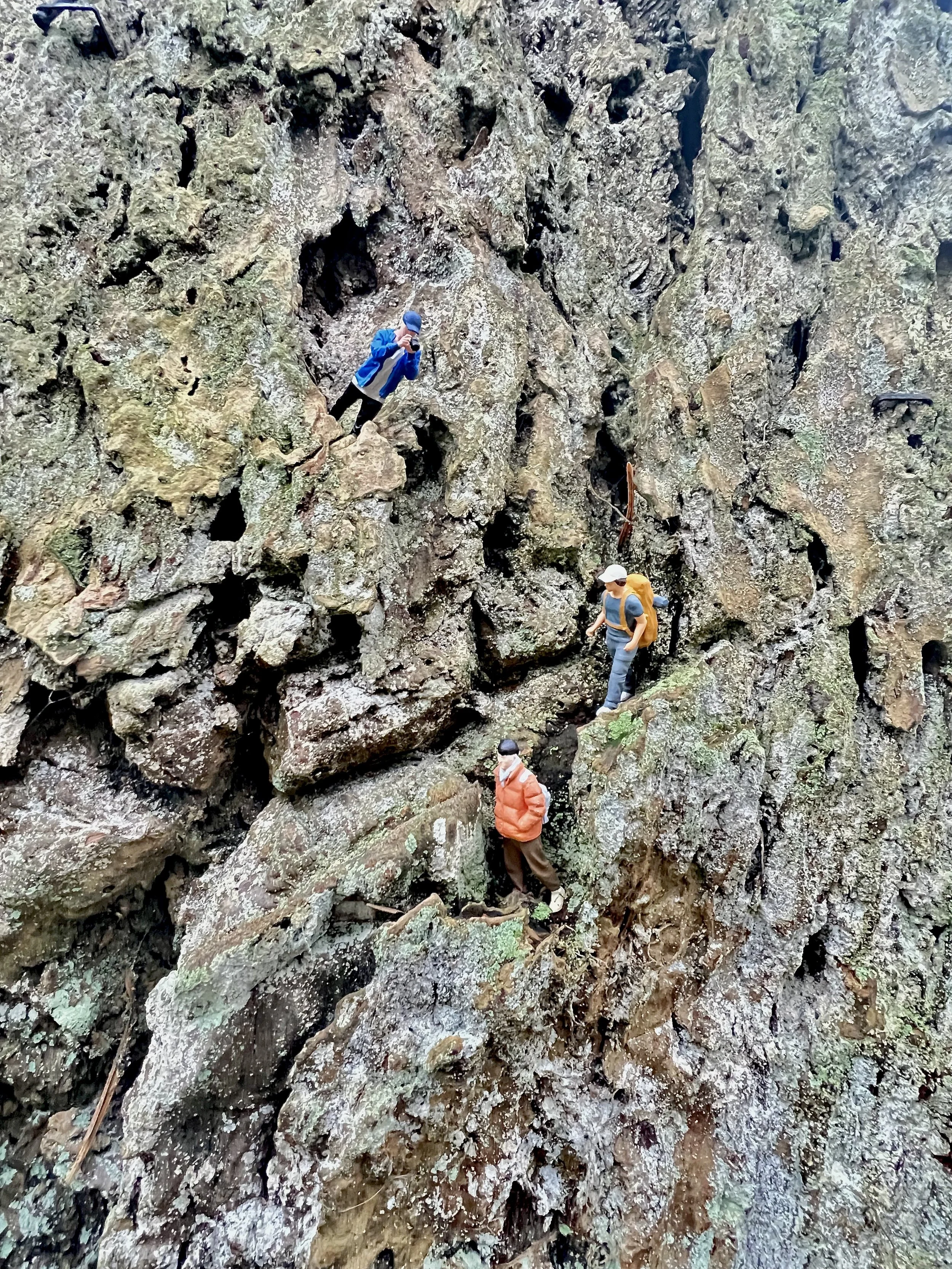 What Catches Your Attention Is Not Random — It’s Leadership Data 