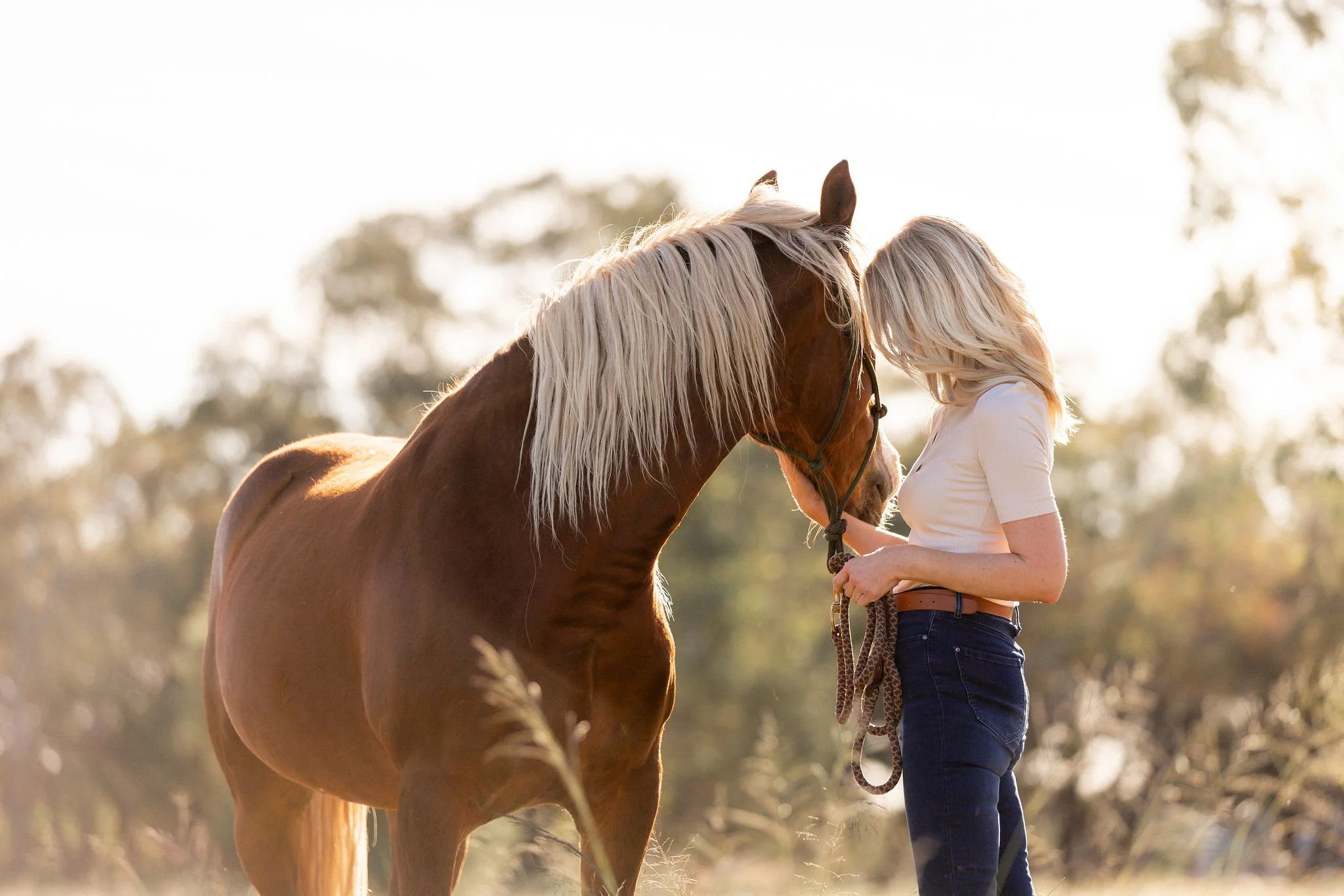 equine-assisted-wellbeing-institute