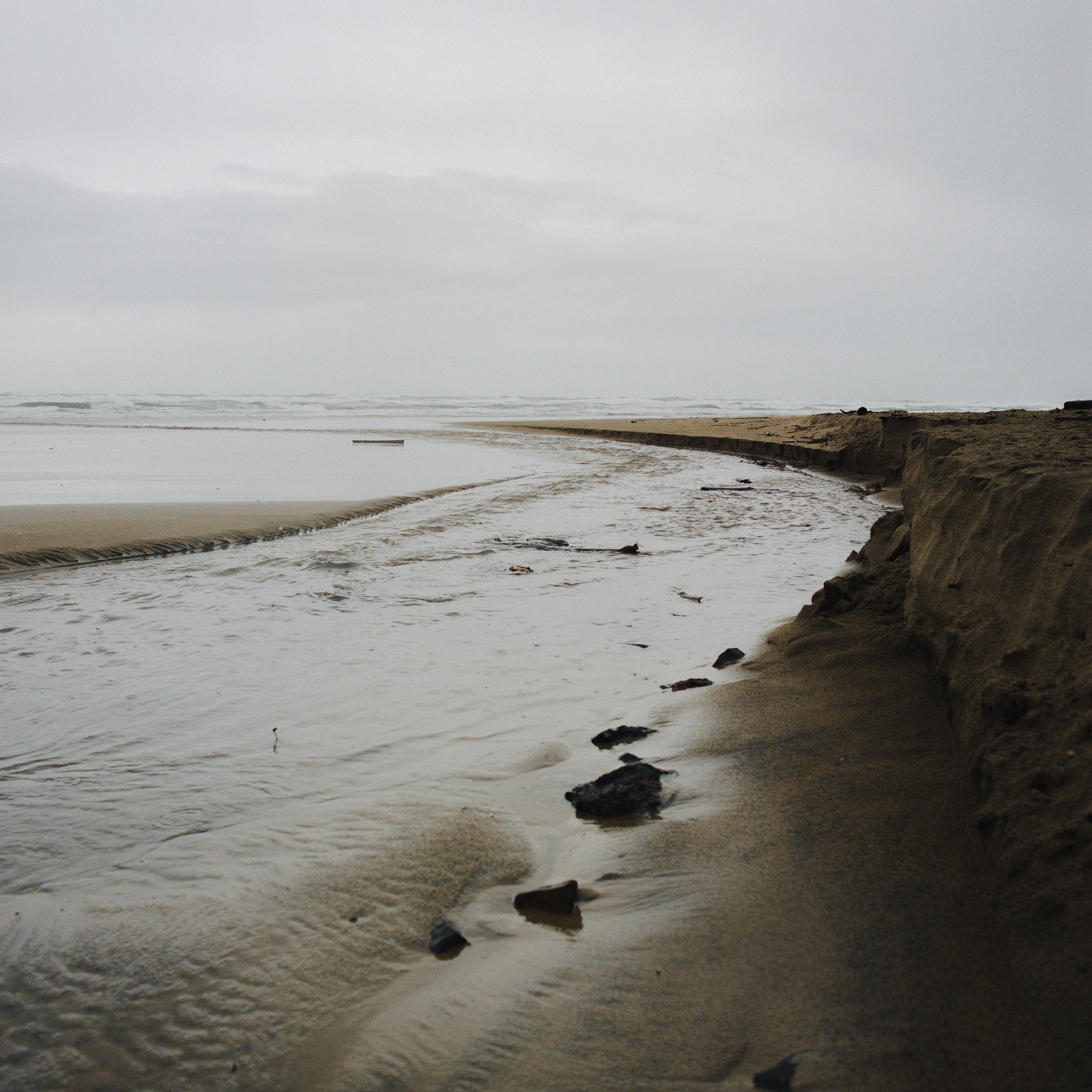 Portland Xmas 2025 -51.PNG