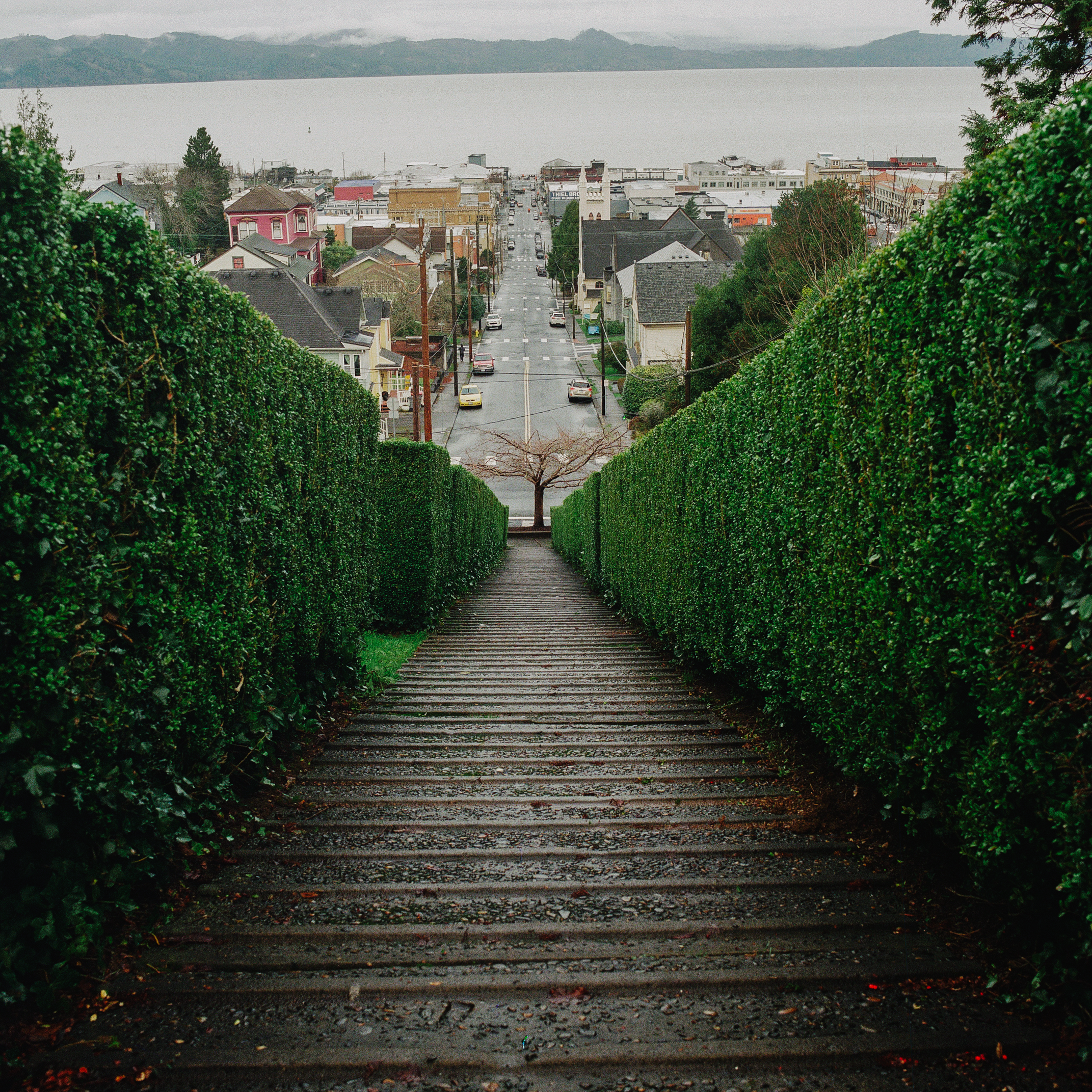 Portland Xmas 2025 -69.PNG