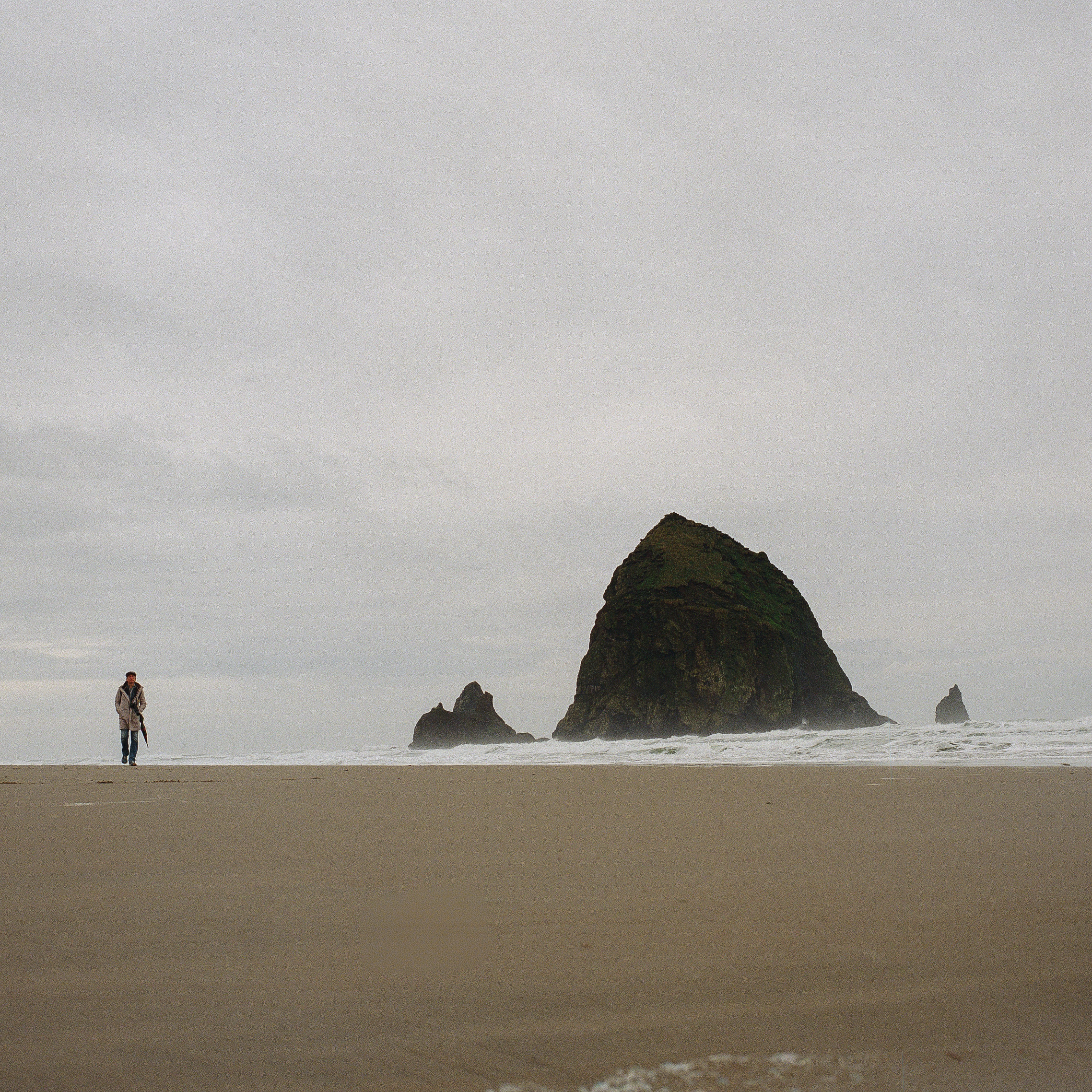 Portland Xmas 2025 -70.PNG