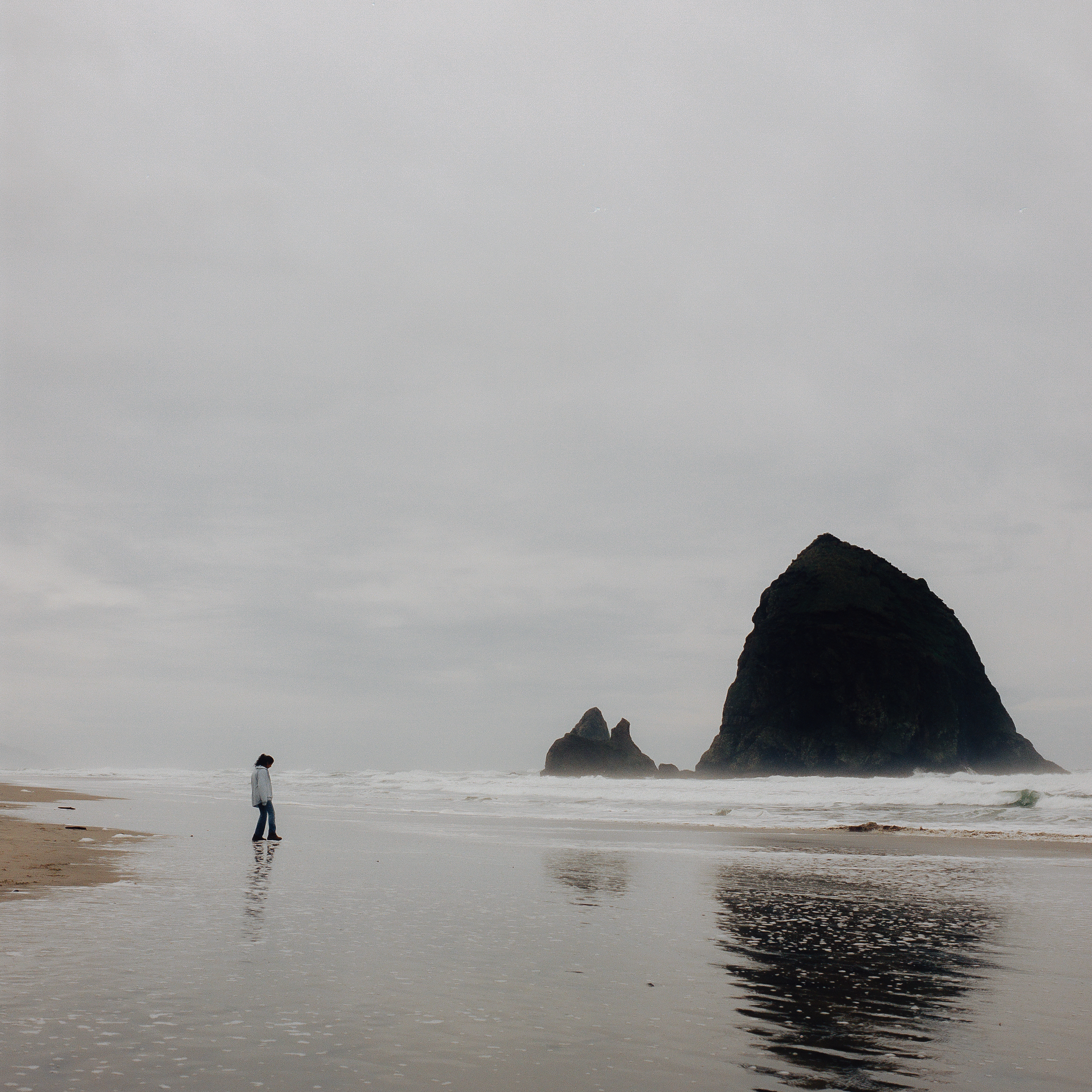 Portland Xmas 2025 -56.PNG