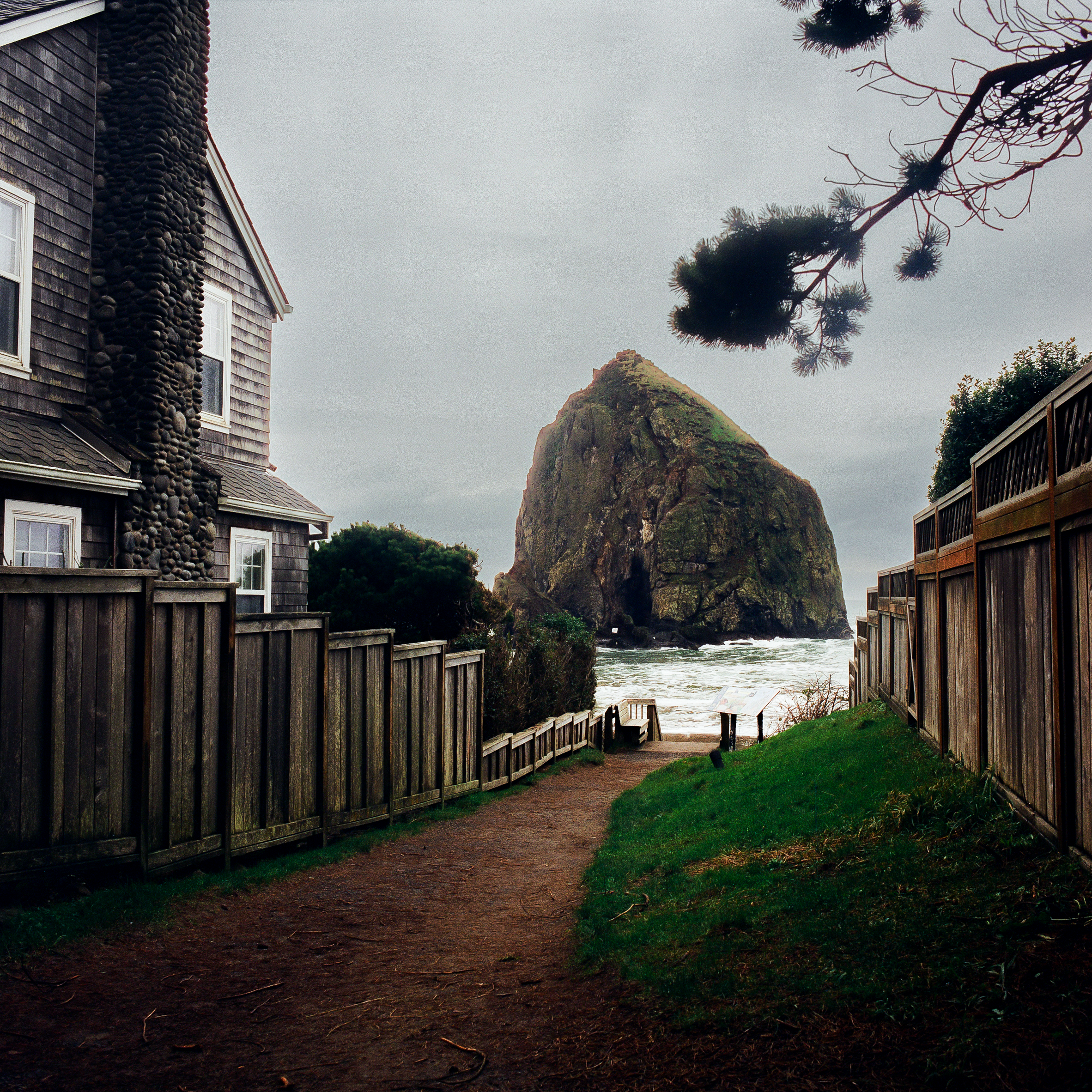 Portland Xmas 2025 -64.PNG