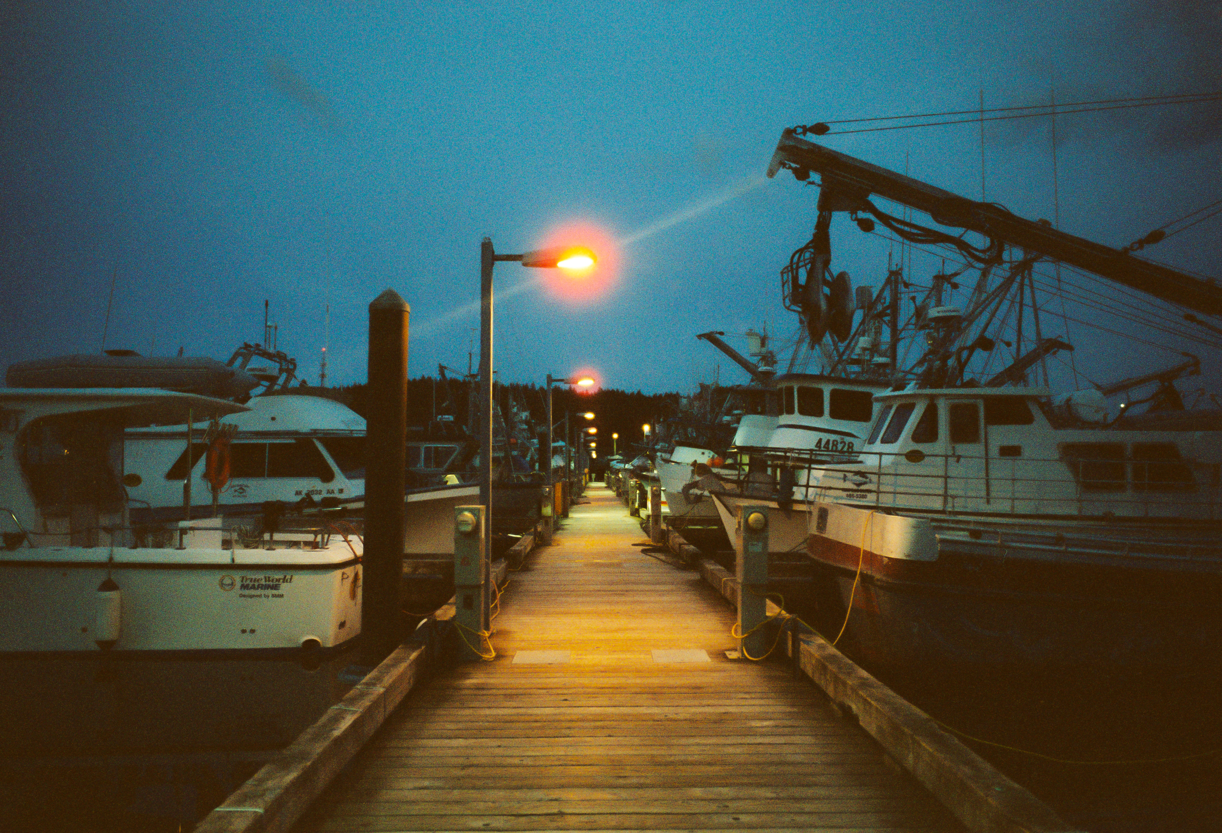 More Life on Film-2.PNG