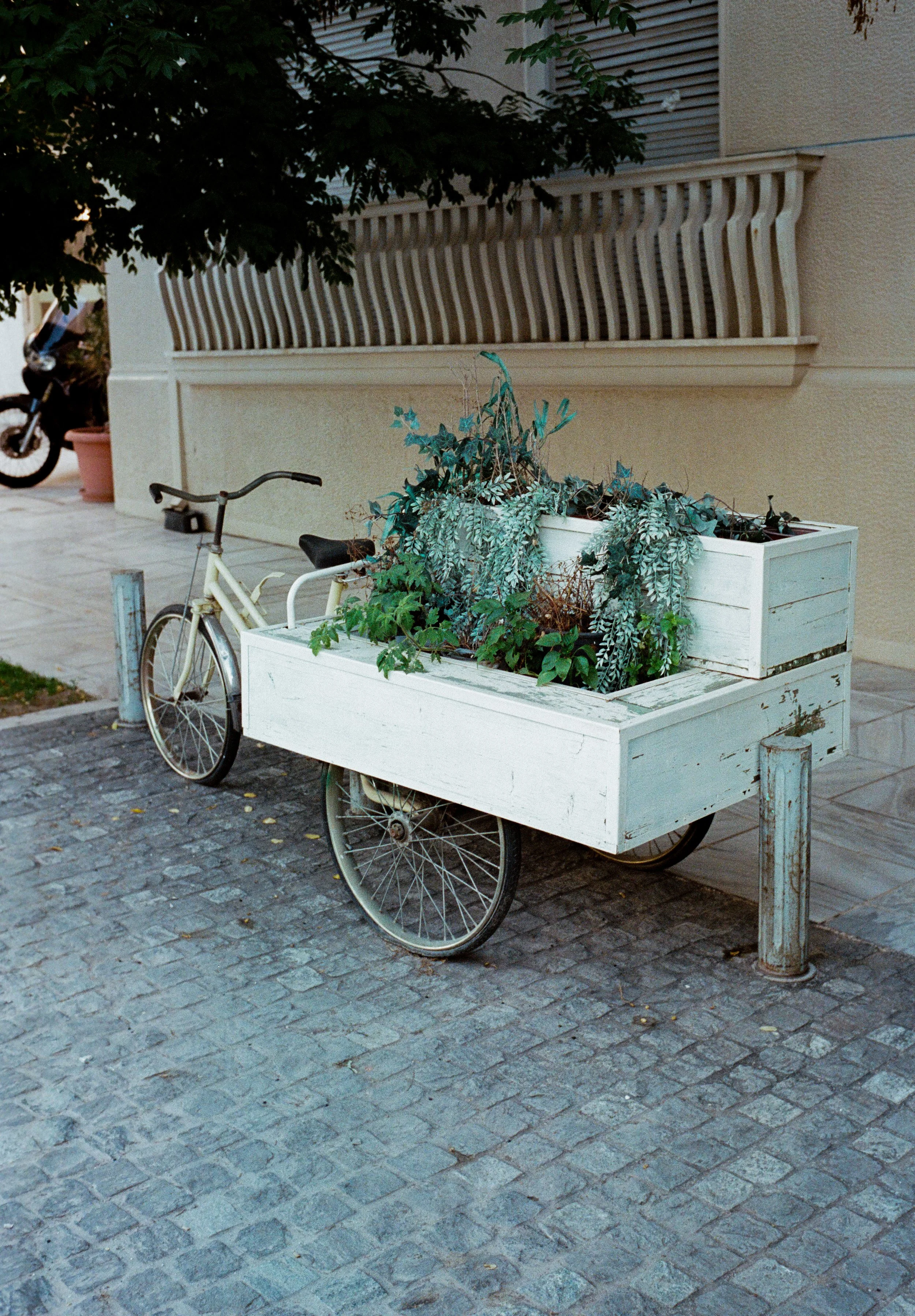 Greece On Film -8.JPG