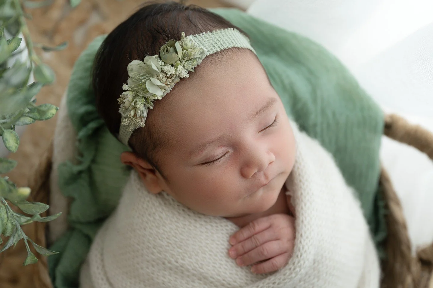 Love me some sage green!

*Book your newborn session 1-2 months in advance to ensure availability.
*We use your due date to hold your spot, once baby arrives we&rsquo;ll get you scheduled!
*Only 8 newborns accepted every month.
Https://www.LauraAlici
