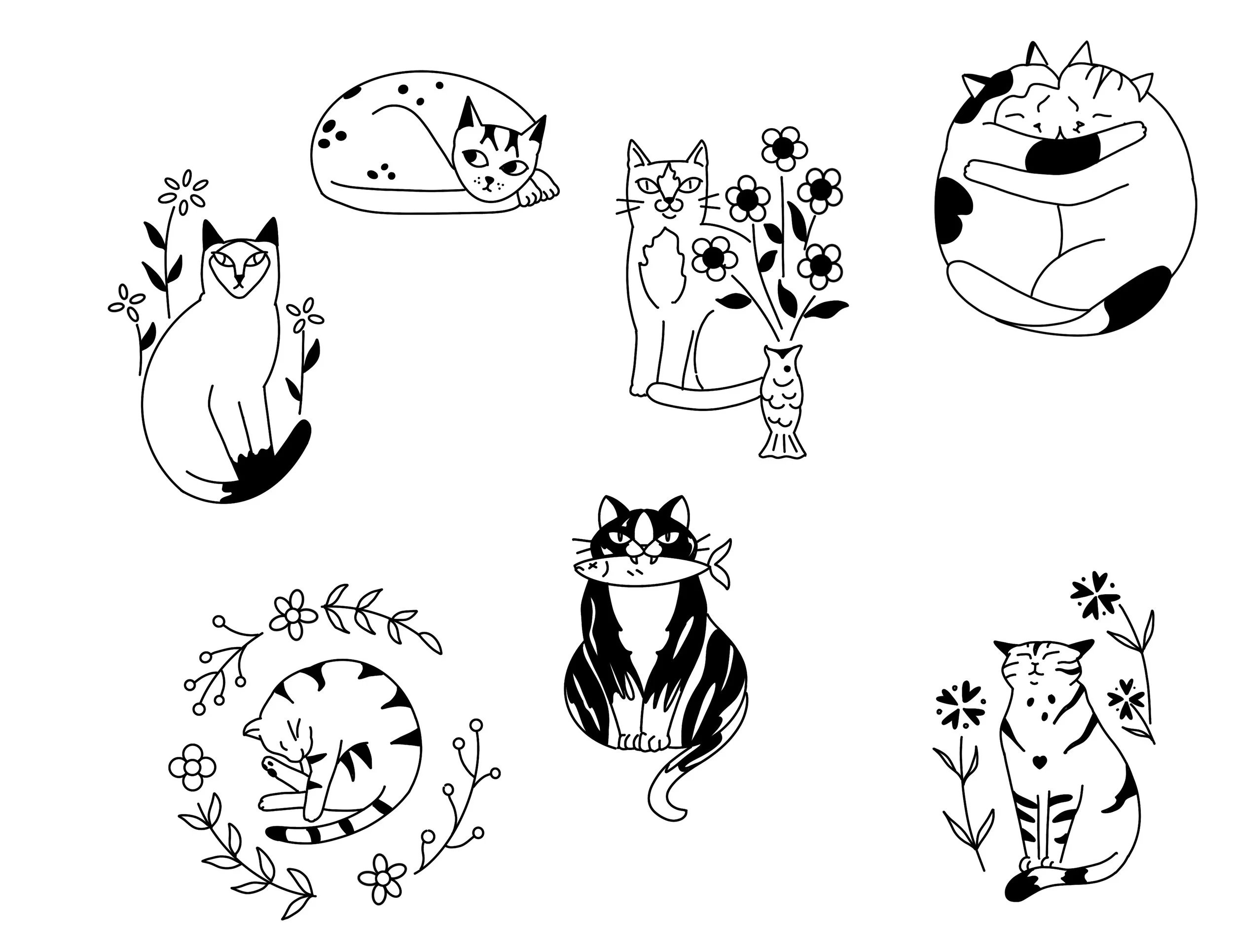 Cattoo 15