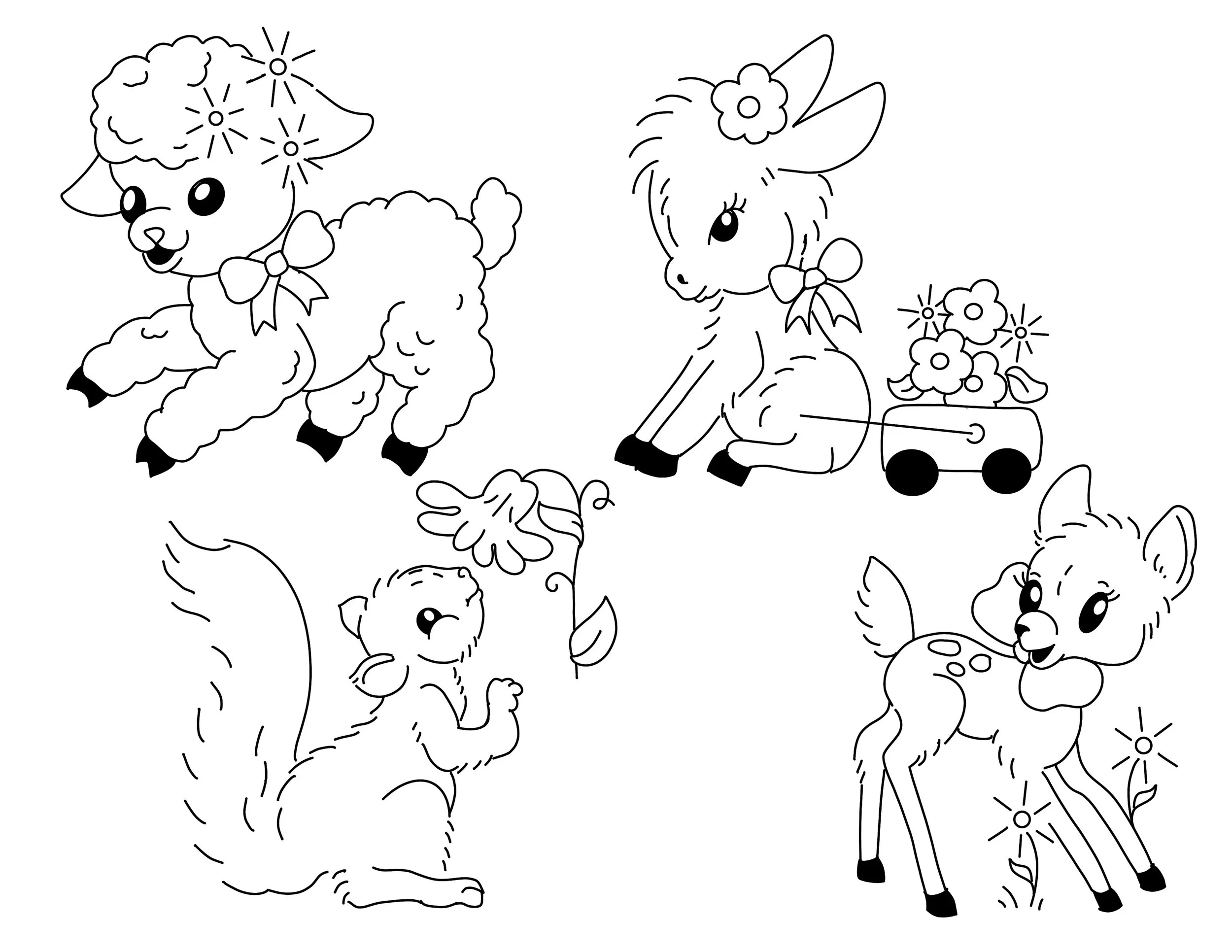 Animals Baby 2
