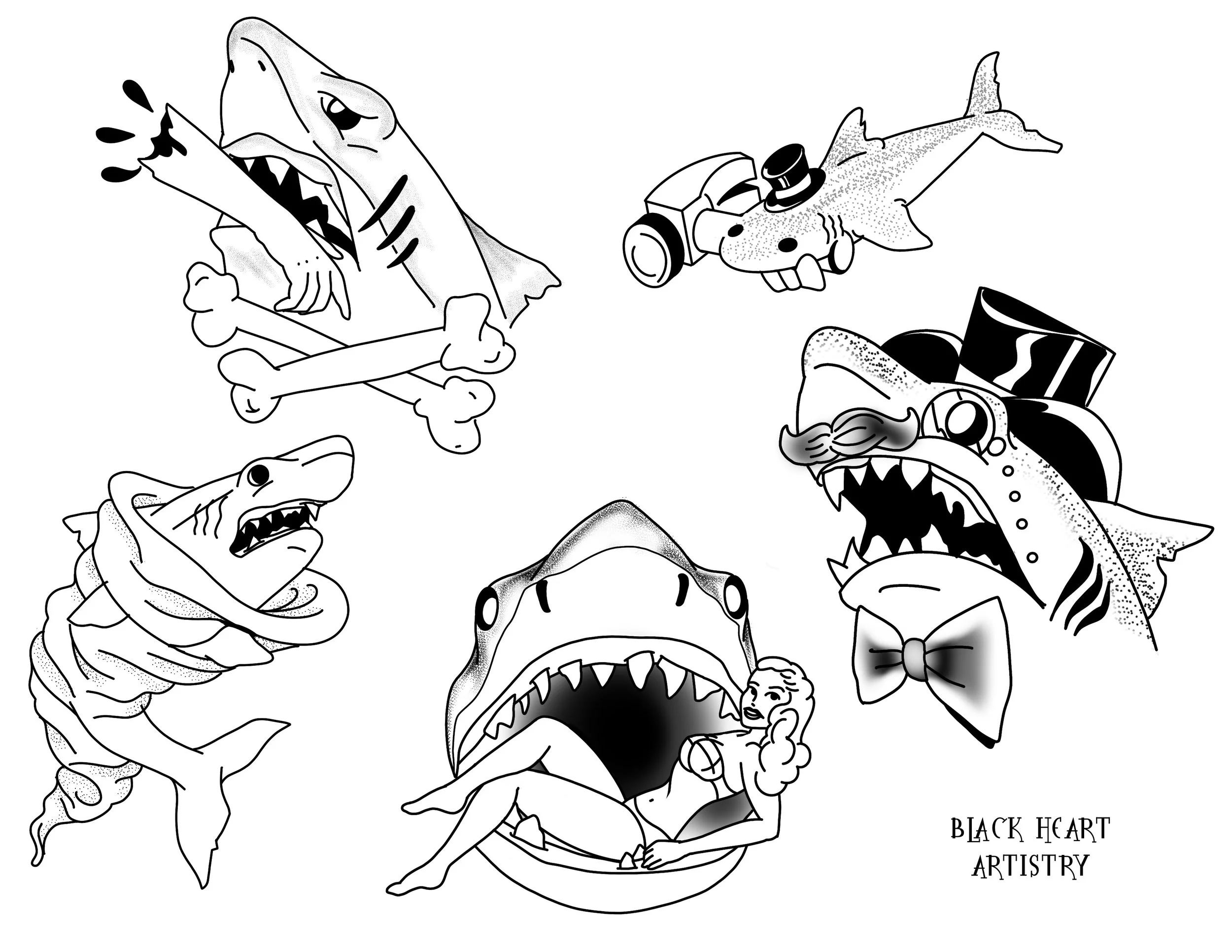 Animals Sharks 3