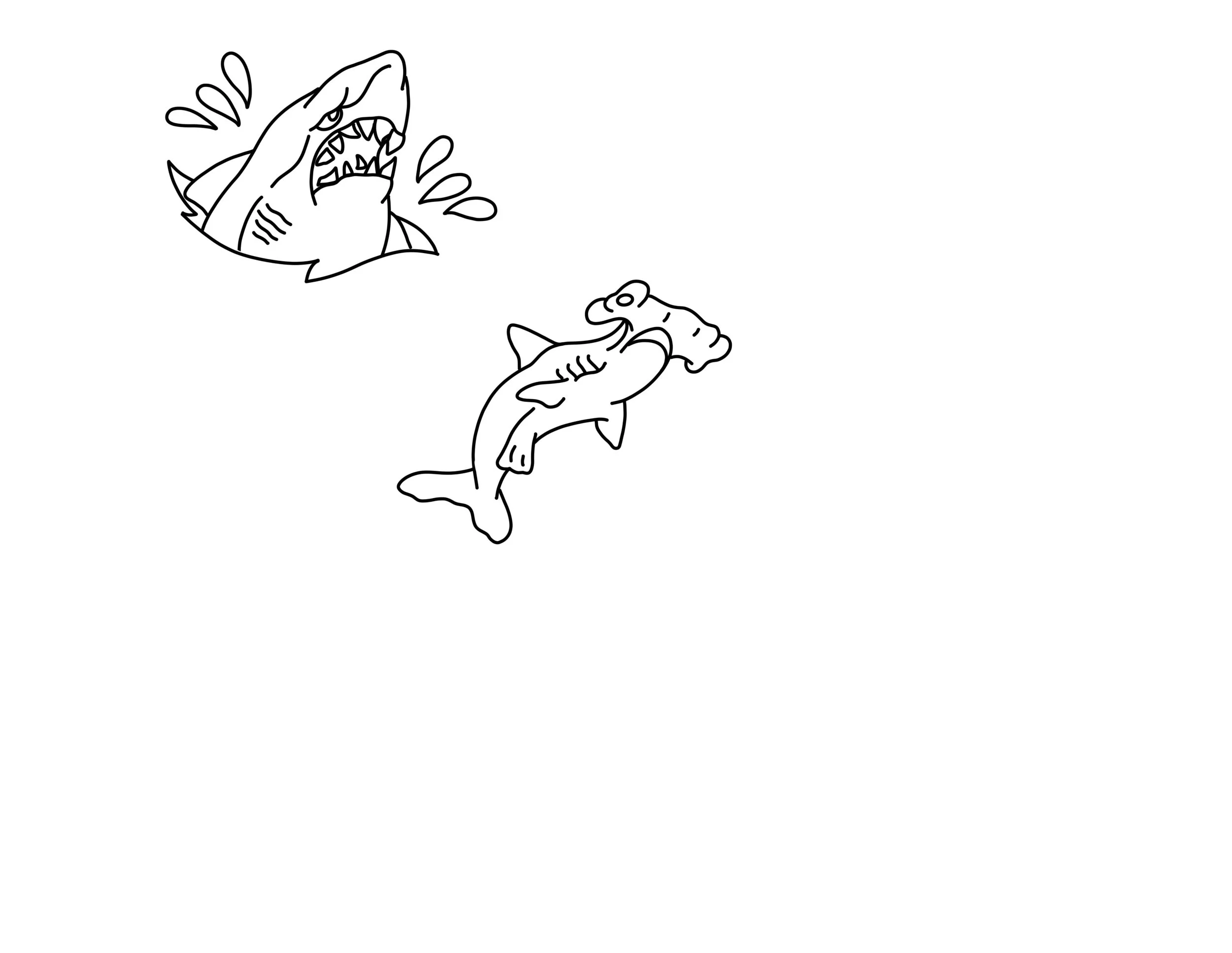 Animals Sharks 3