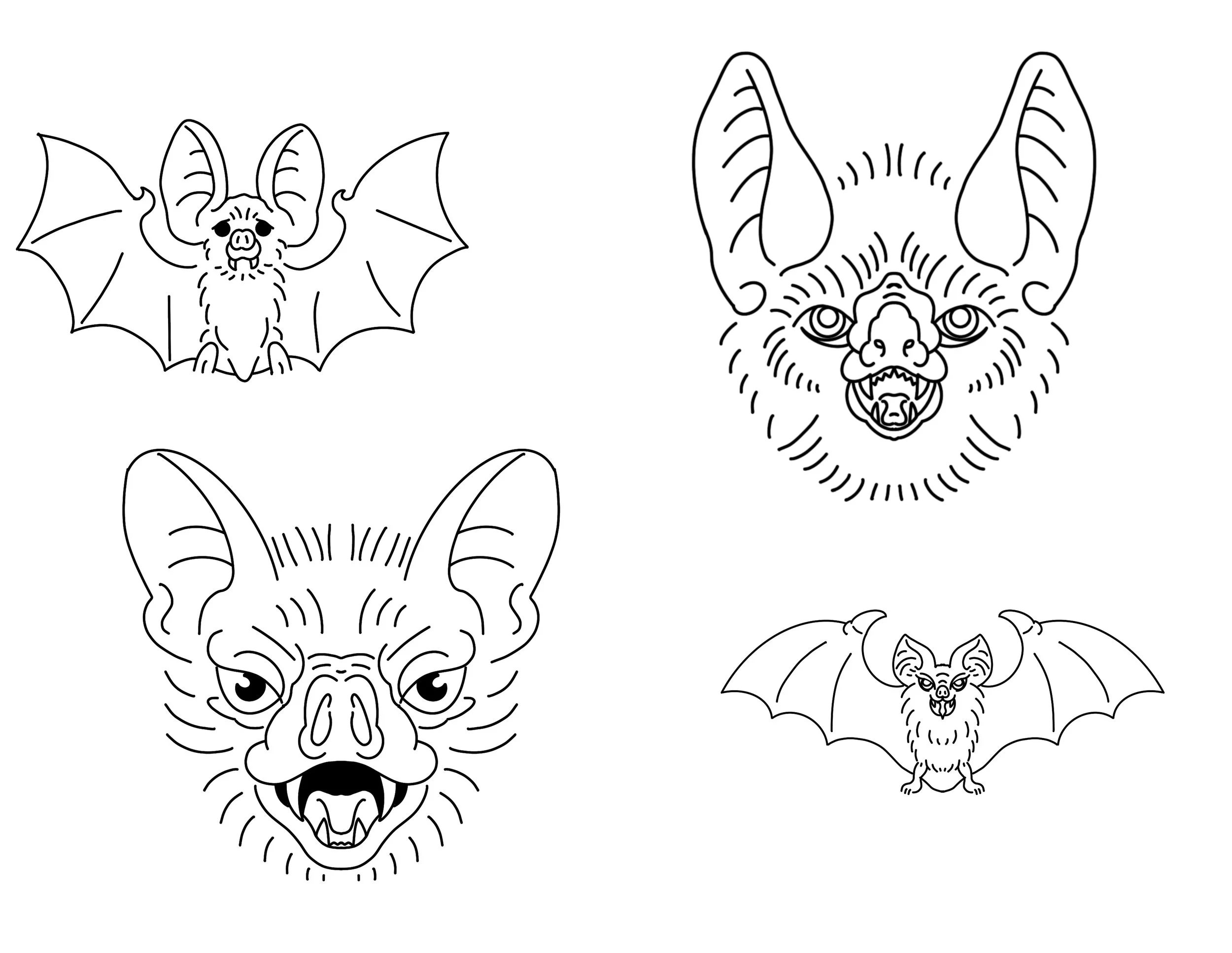 Animals Bats