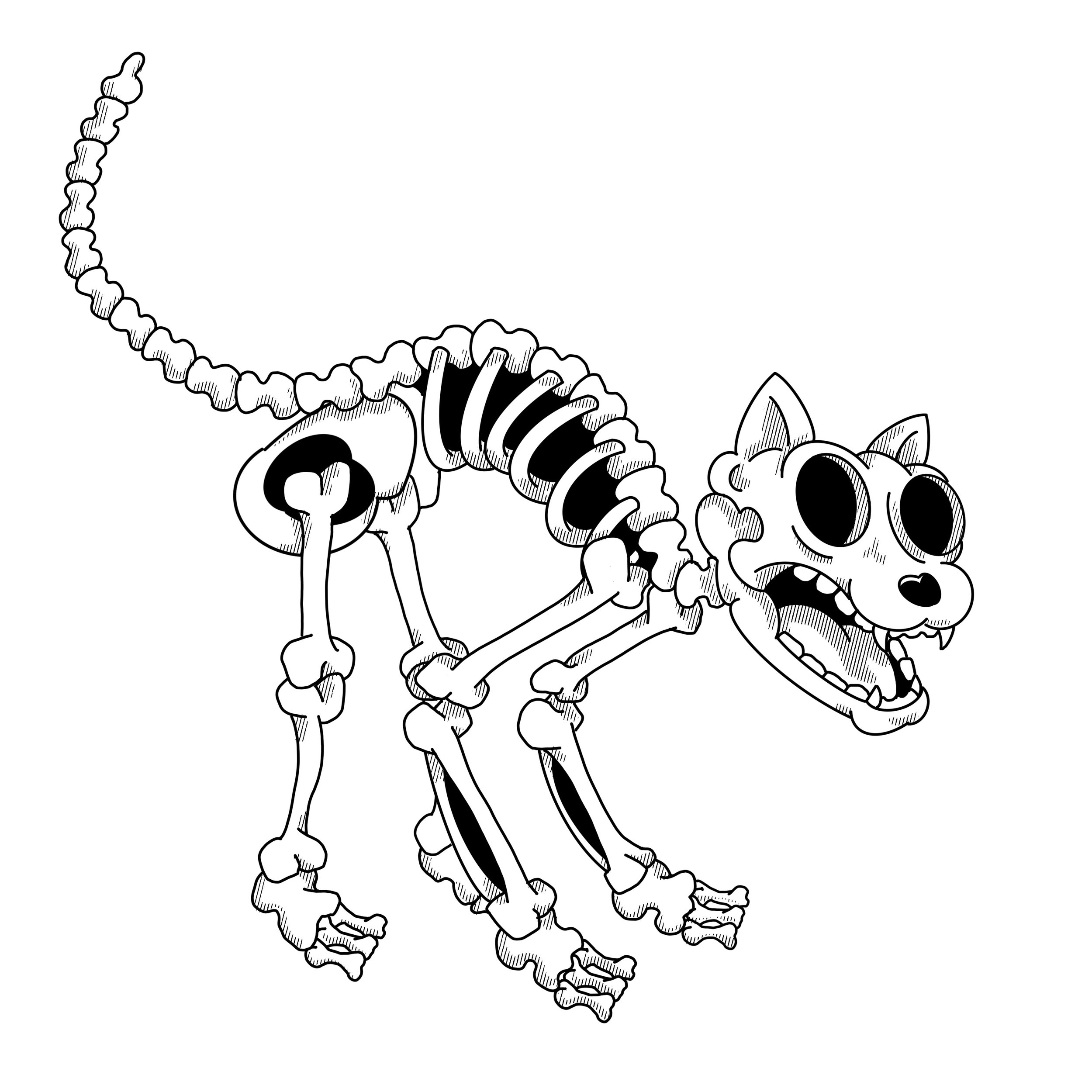 Bone_Pet_3.jpeg