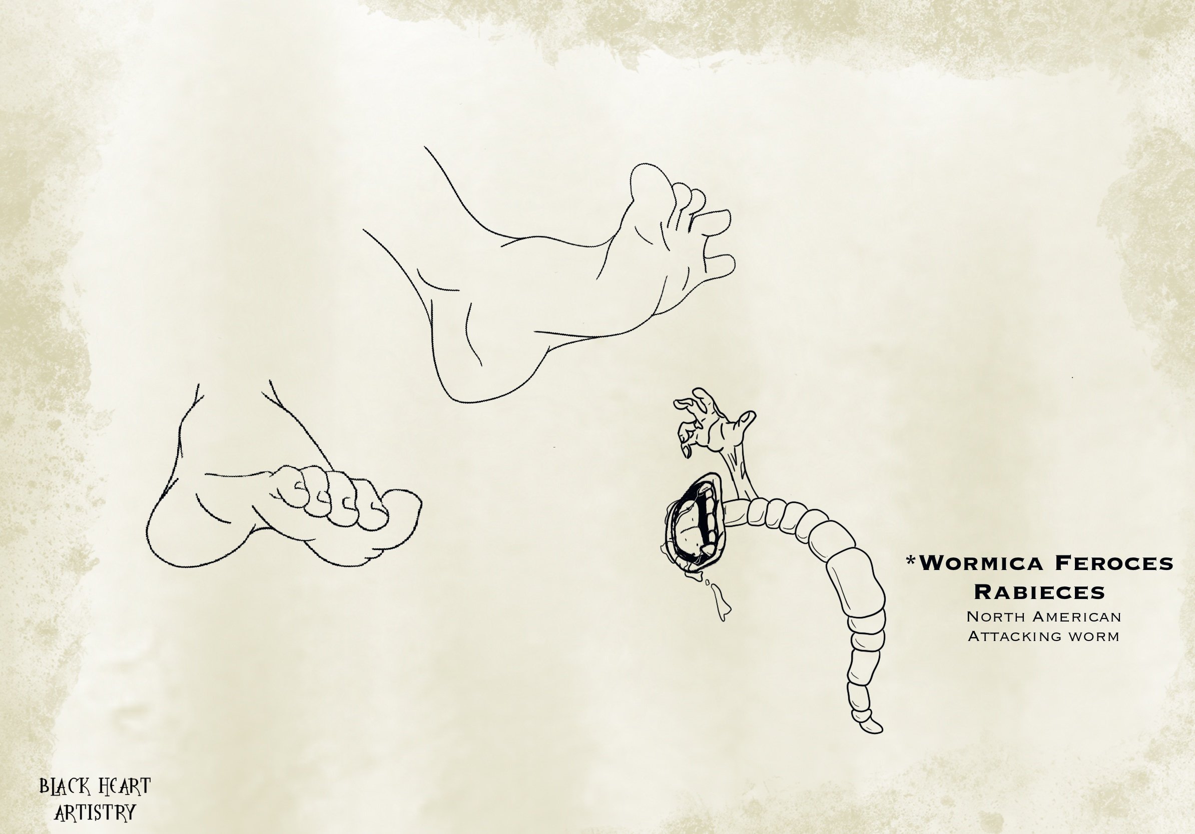 Worm_Feet.jpg