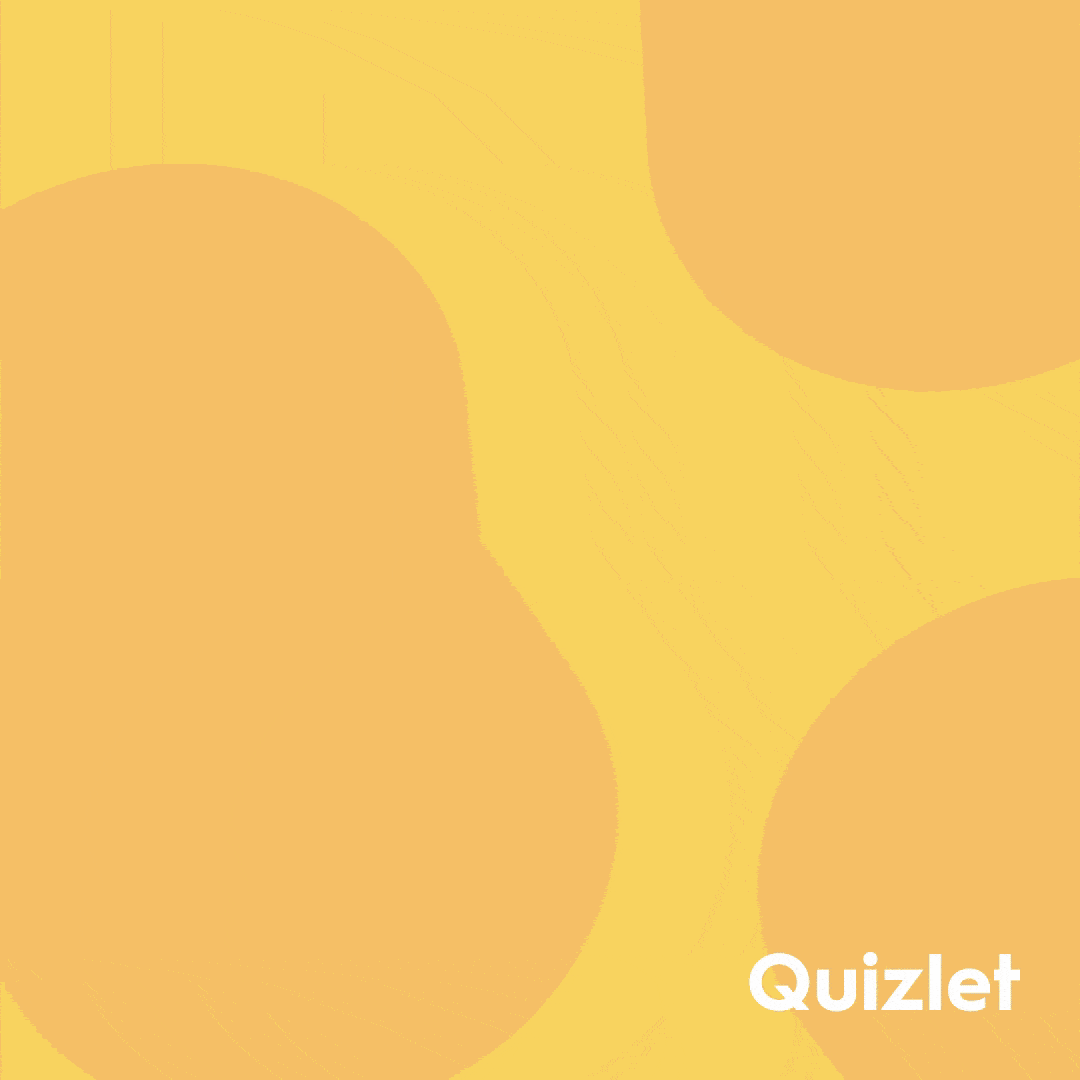 Quizlet_Conversion_GIF_1x1.gif