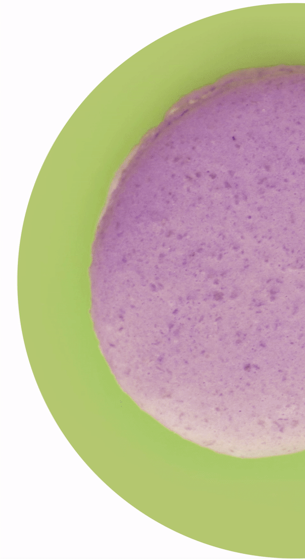 FOODiQ GIF Changemakers in Global Health Nutrition Research