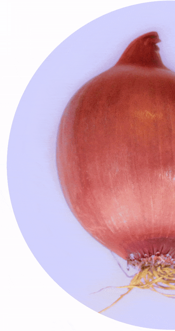 FOODiQ Global iQ³ process GIF