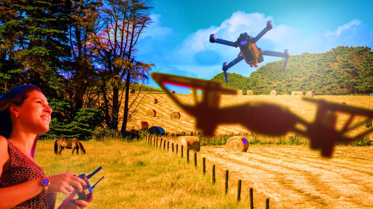 Poop sensors, drones, and robots: What automation looks like at the farm of the future