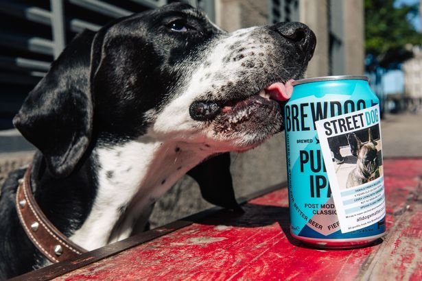 BrewDog Partners With Jiffy To Offer DTC of Cold Beer in Under 30 Minutes