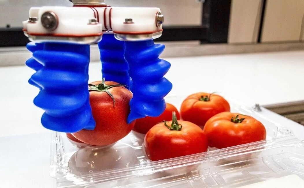 Supply Chain Organizations Need a Chief Robotics Officer to Strategically Implement Robotics and Automation