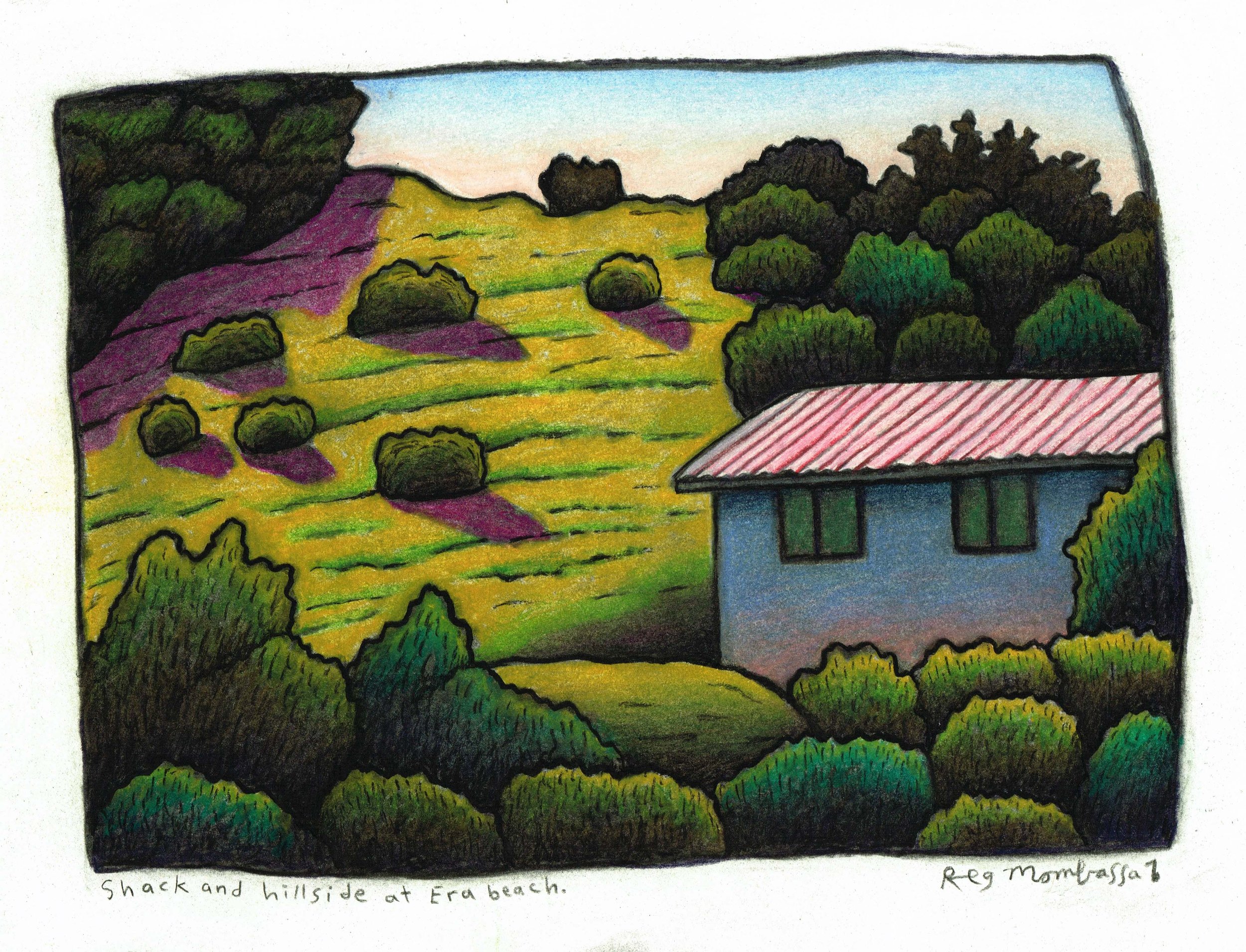 shack and hillside at Era, 16 x 22cm, coloured pencil and charcoal on paper, 2014.jpg