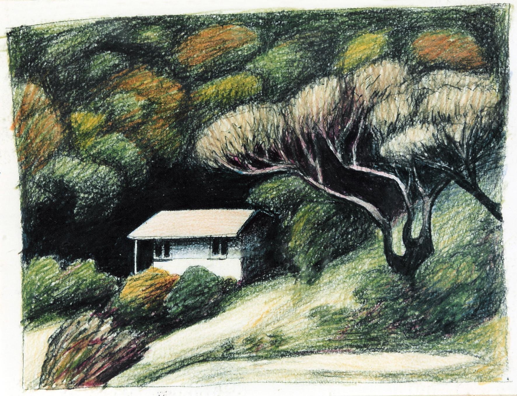 shack at Era, 1986, coloured pencil and charcoal on paper.jpg