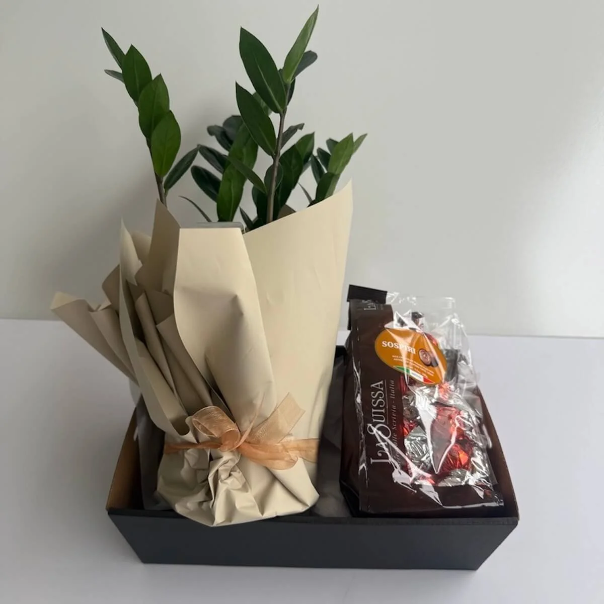 Zanzibar Plant Gift box