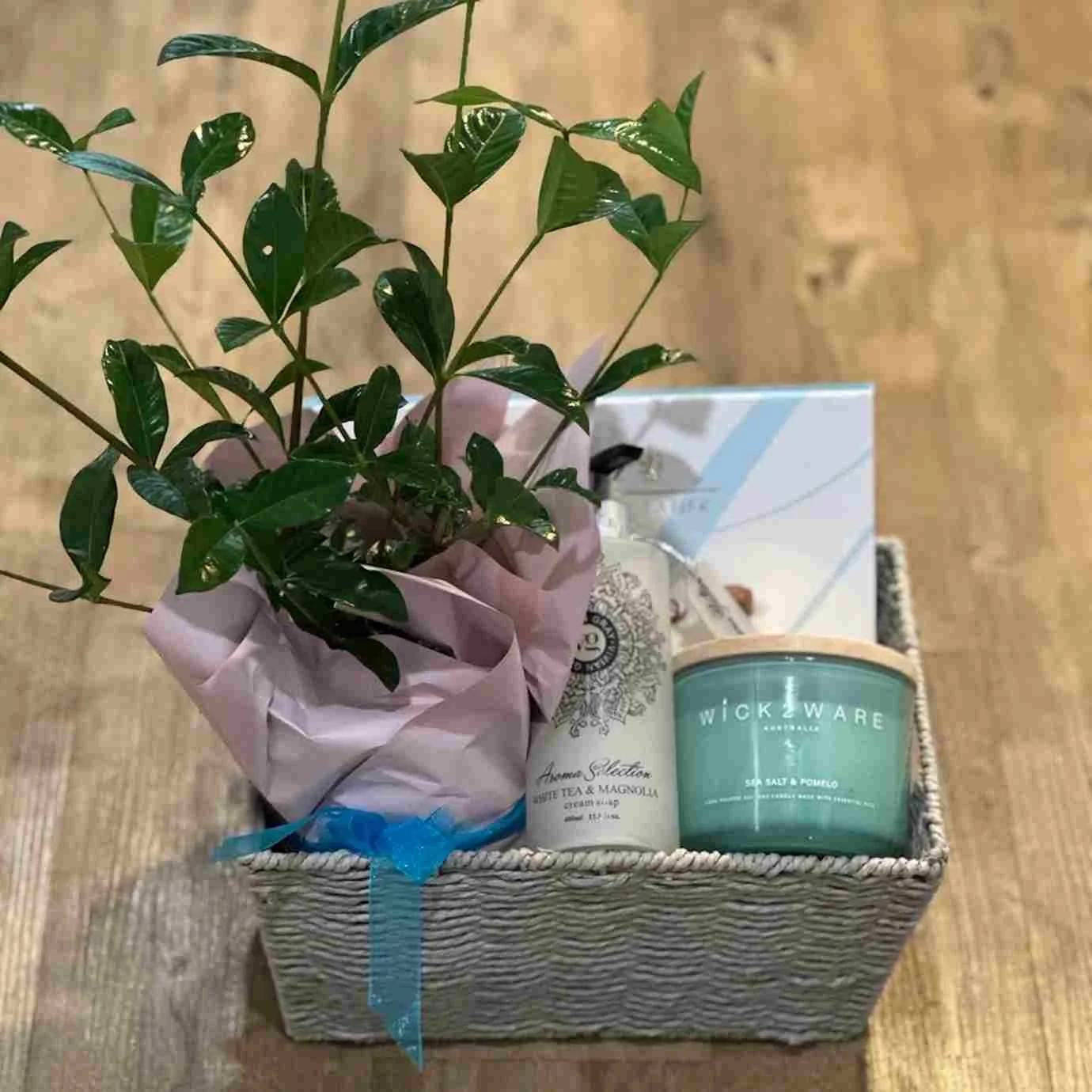 Gift Hampers & Plants Gold Coast | Gifts on the Gold Coast