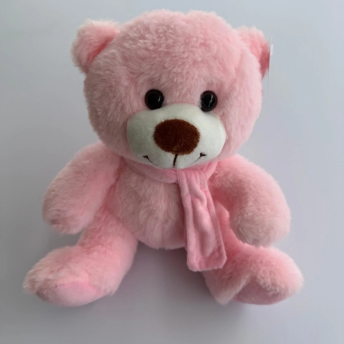 Pink Teddy Bear
