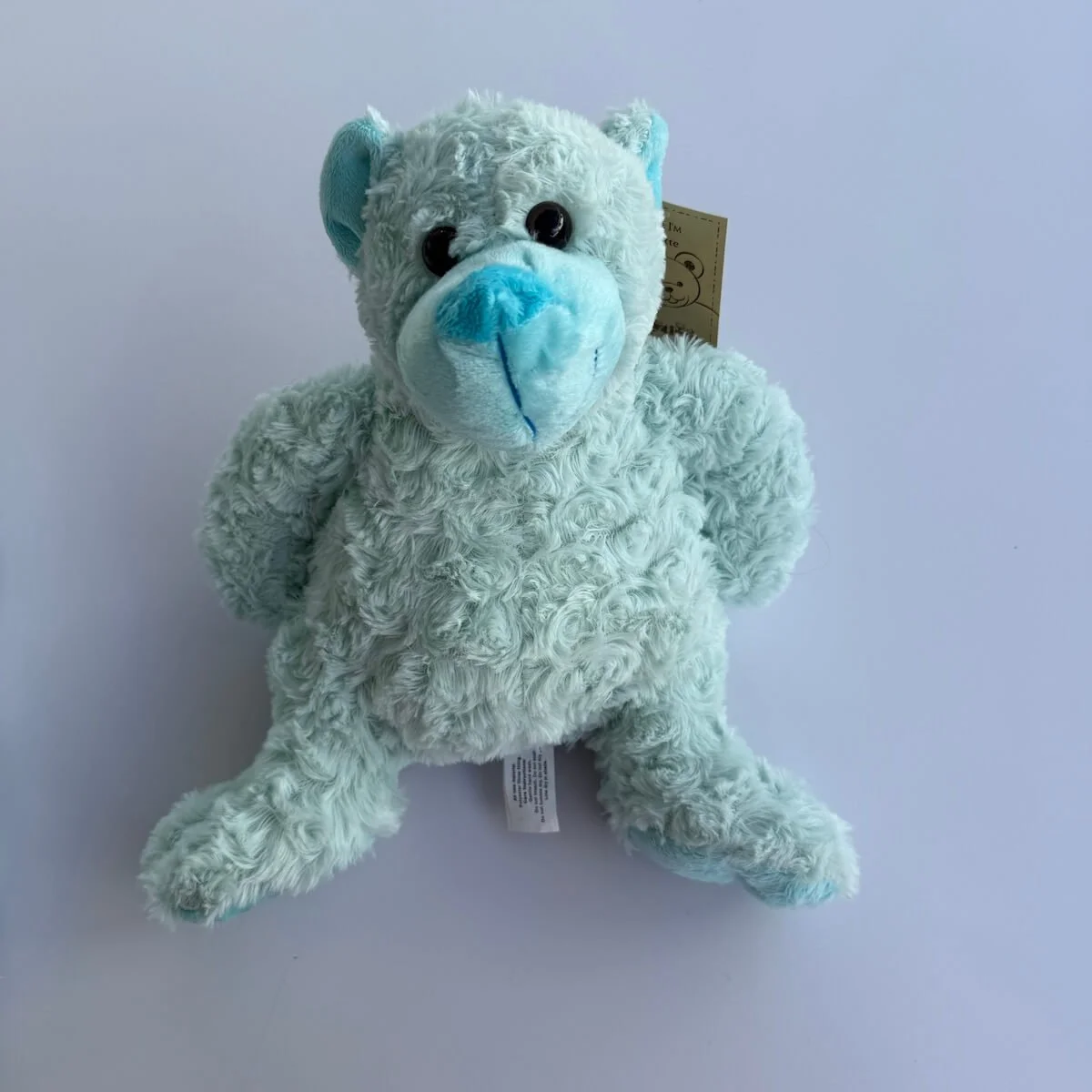 Blue-teddy-little-one-gift (1).jpg