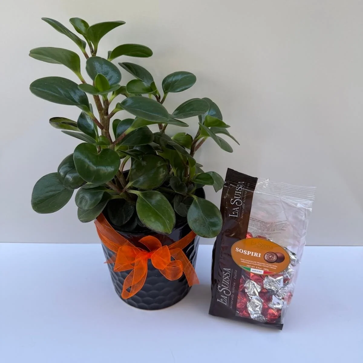 Peperomia & Chocolate Hamper