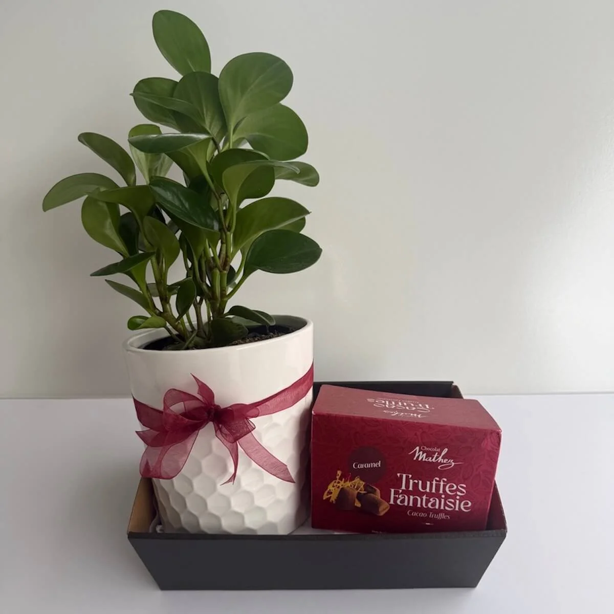 Peperomia & Chocolate Hamper