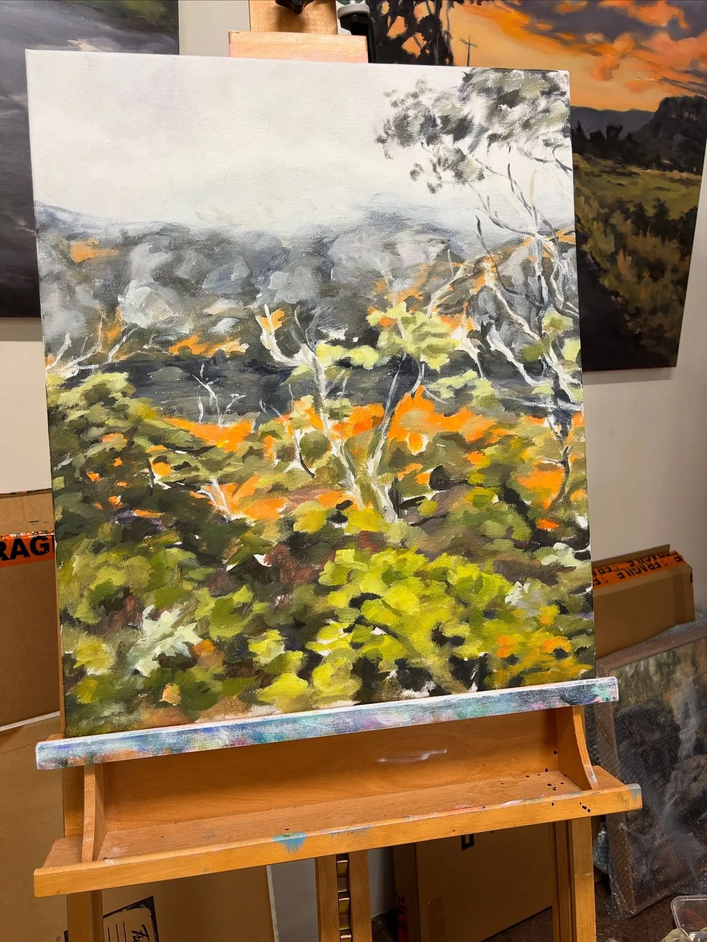 A new series, inspired by Tassie adventures, is underway. Partially about memories across a life time inspired by my dear dad who loves the Australian landscape and managed an epic day hike at Cradle Mountain celebrating his 80th birthday last year. 