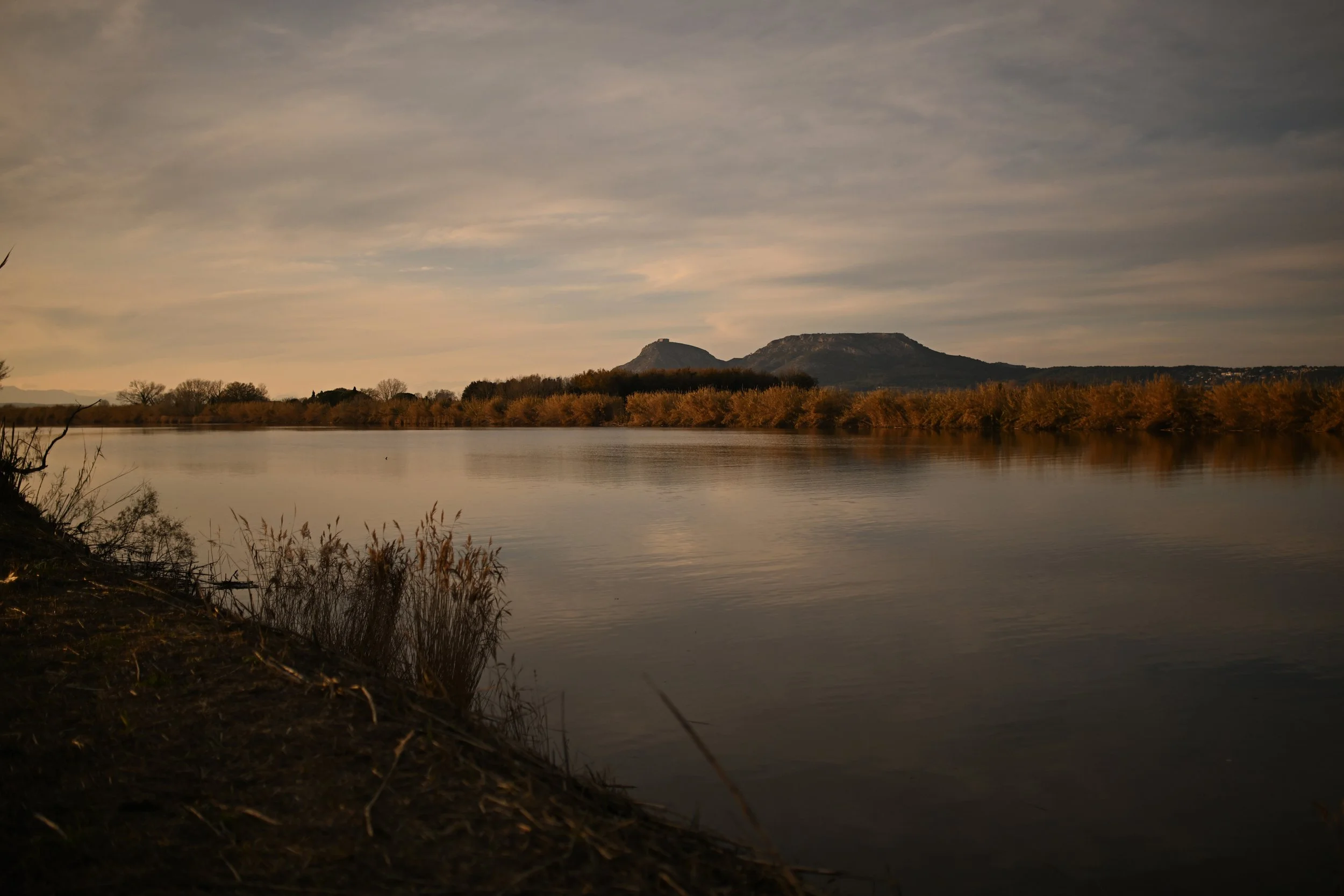 JOURNAL 2026 - ENERO