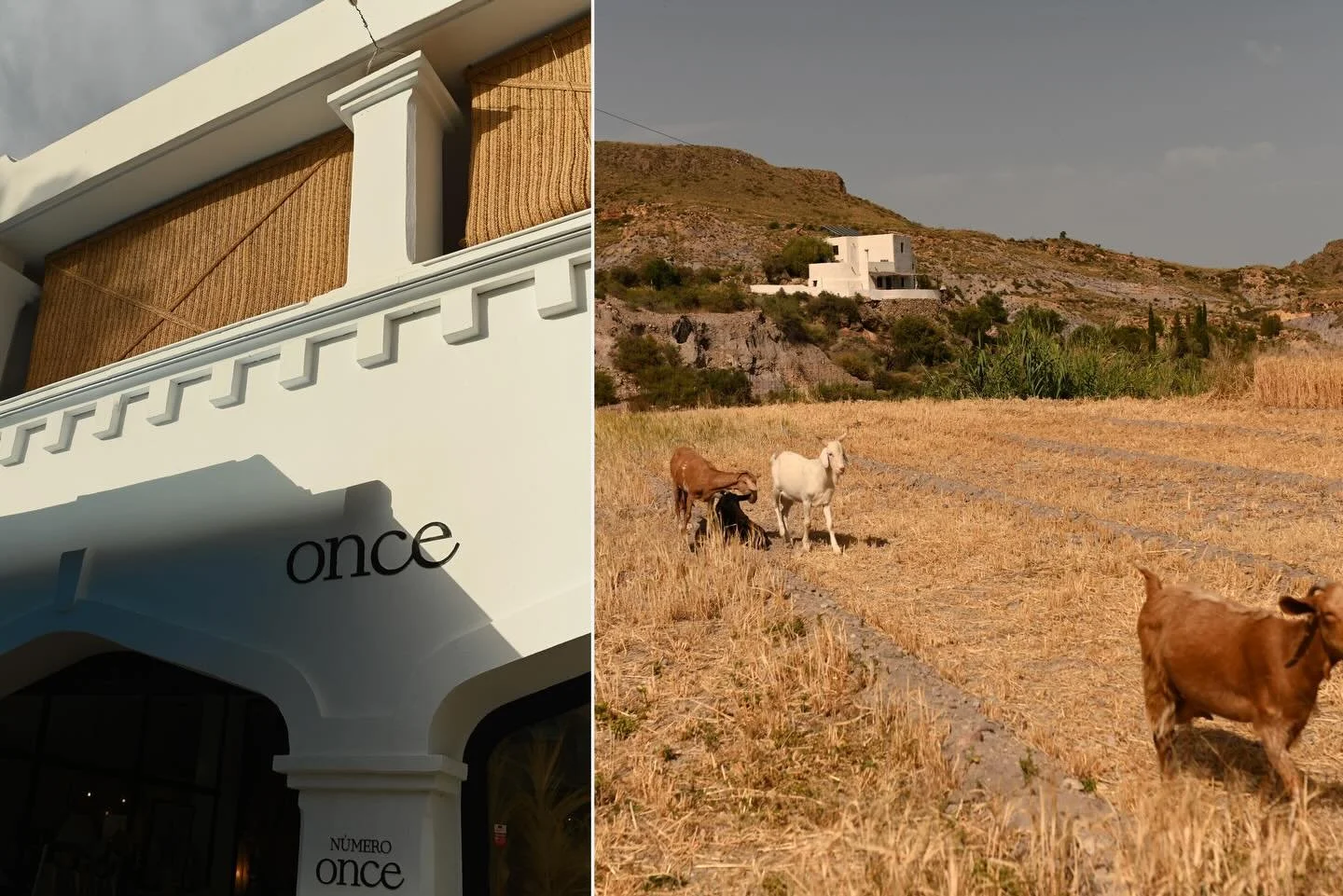 En 10 d&iacute;as me voy a vivir y trabajar dos meses cerca del mar y el desierto. En esta tierra dura, que un d&iacute;a se me clav&oacute; muy adentro y desde entonces no puedo dejar por mucho tiempo.