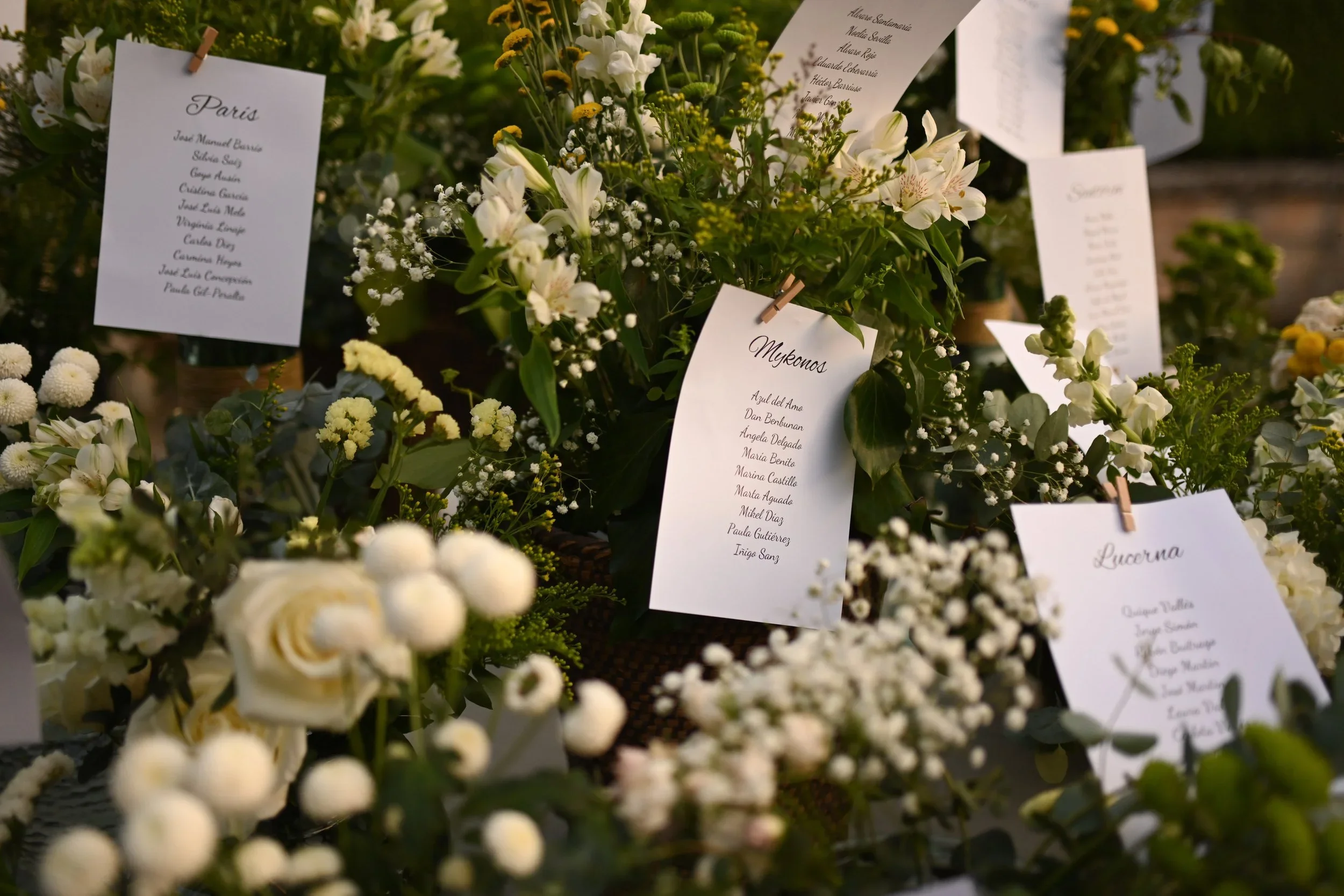 boda-2505.jpg.webp