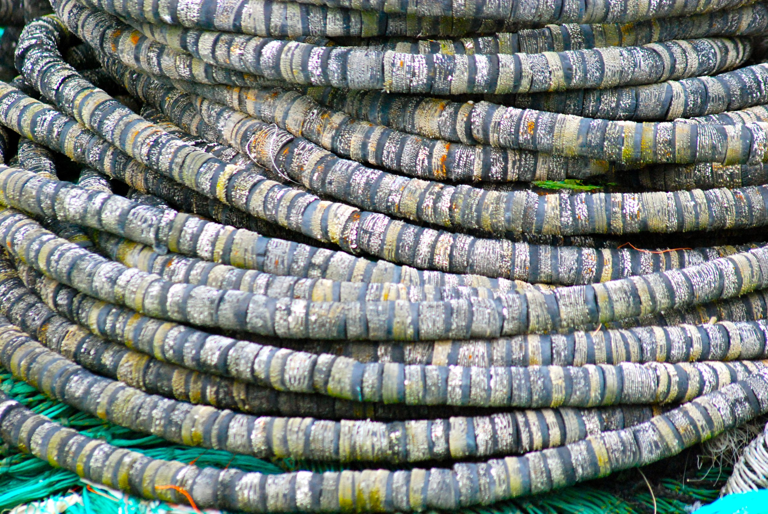 40D3ECA2-4140-4434-A5A3-88518F759FA4.jpeg