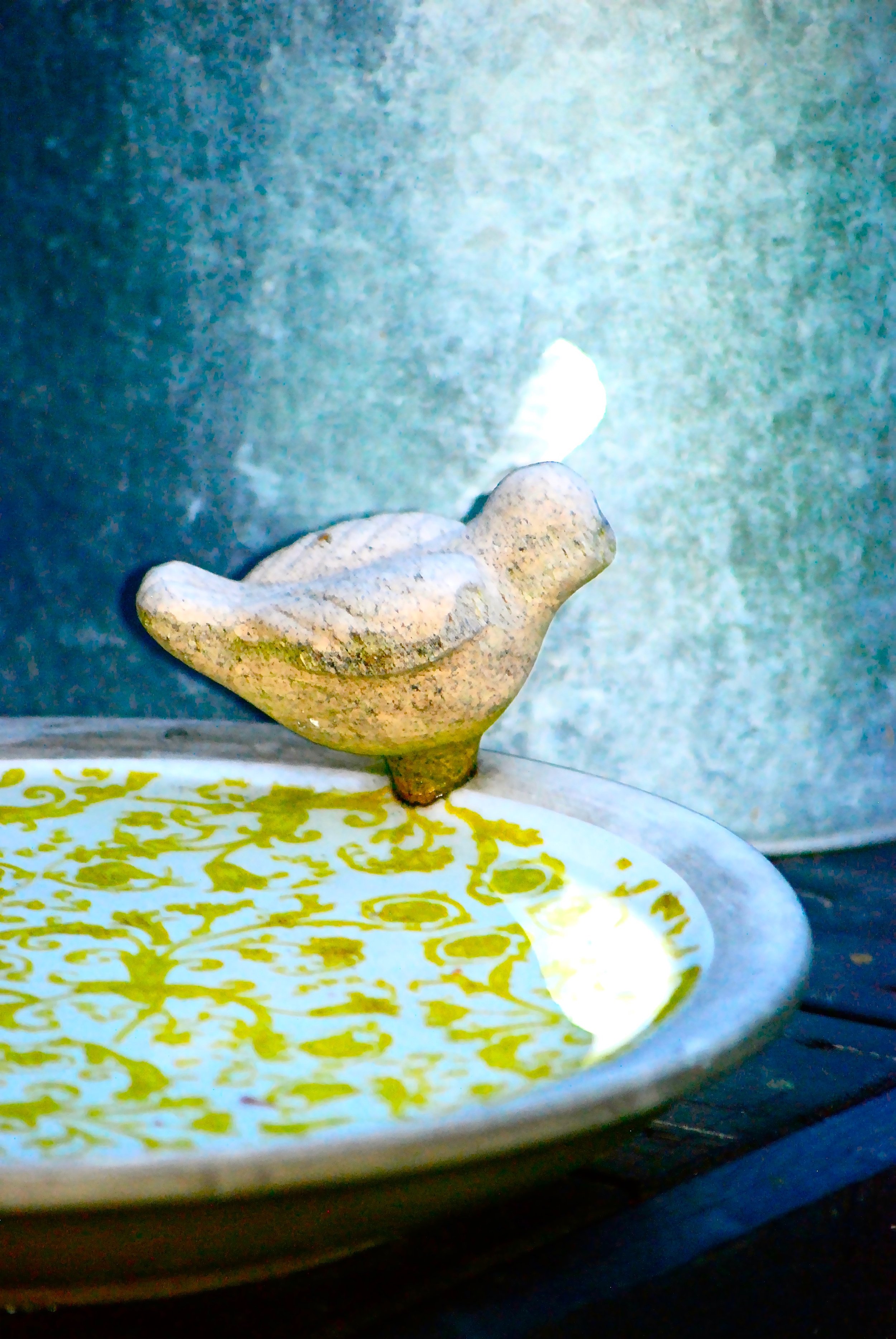 D24DE761-51E4-4DD2-8F67-AA9FB306E422_1_201_a.jpeg