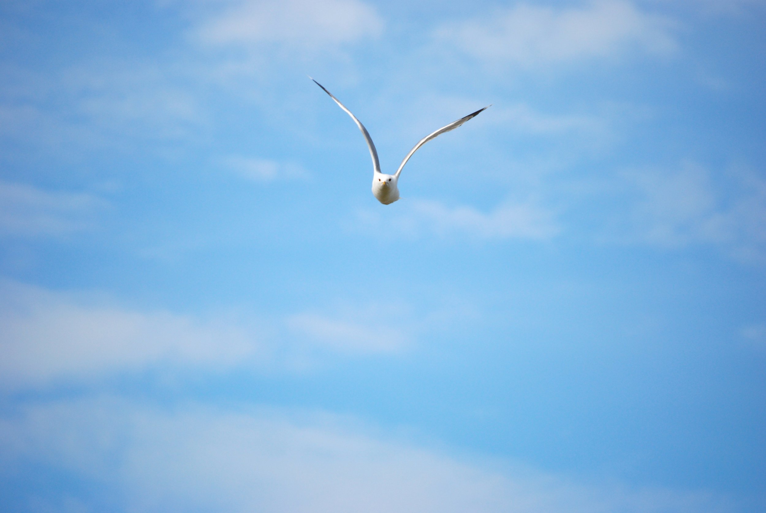 A1F7659F-30B5-4E7E-A0A0-3DEE43E0DB1F_1_201_a.jpeg