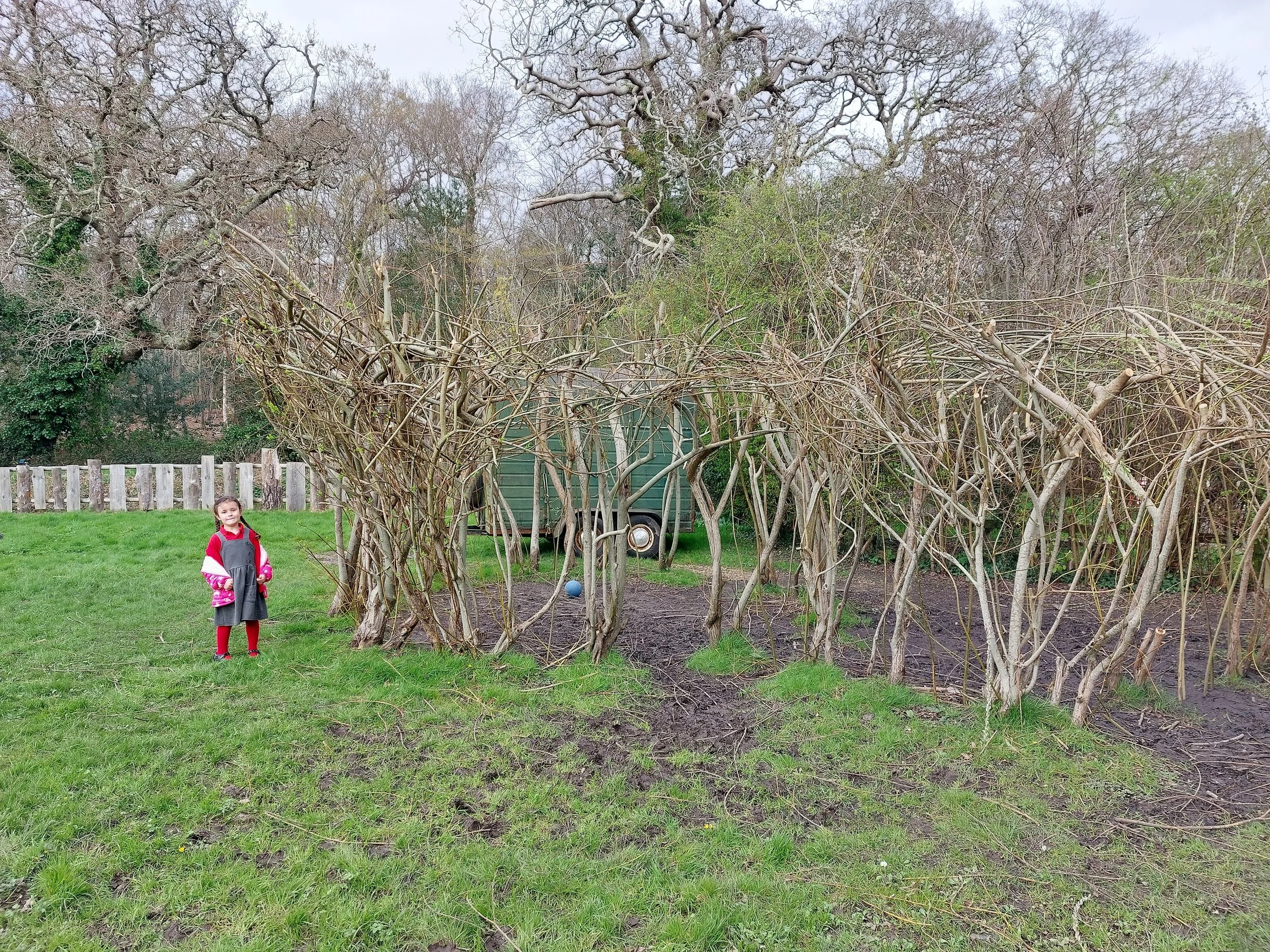 admiring the trimmed willow circle.jpg