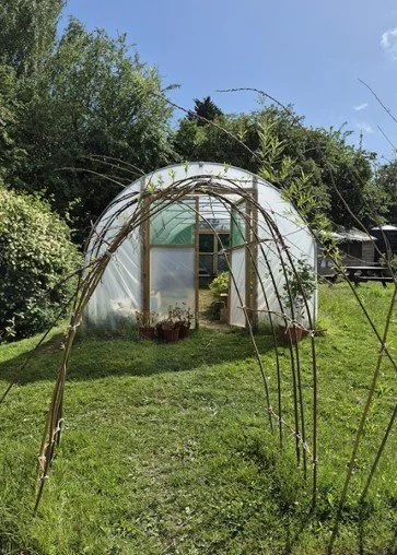 Poly tunnel planting .jpg