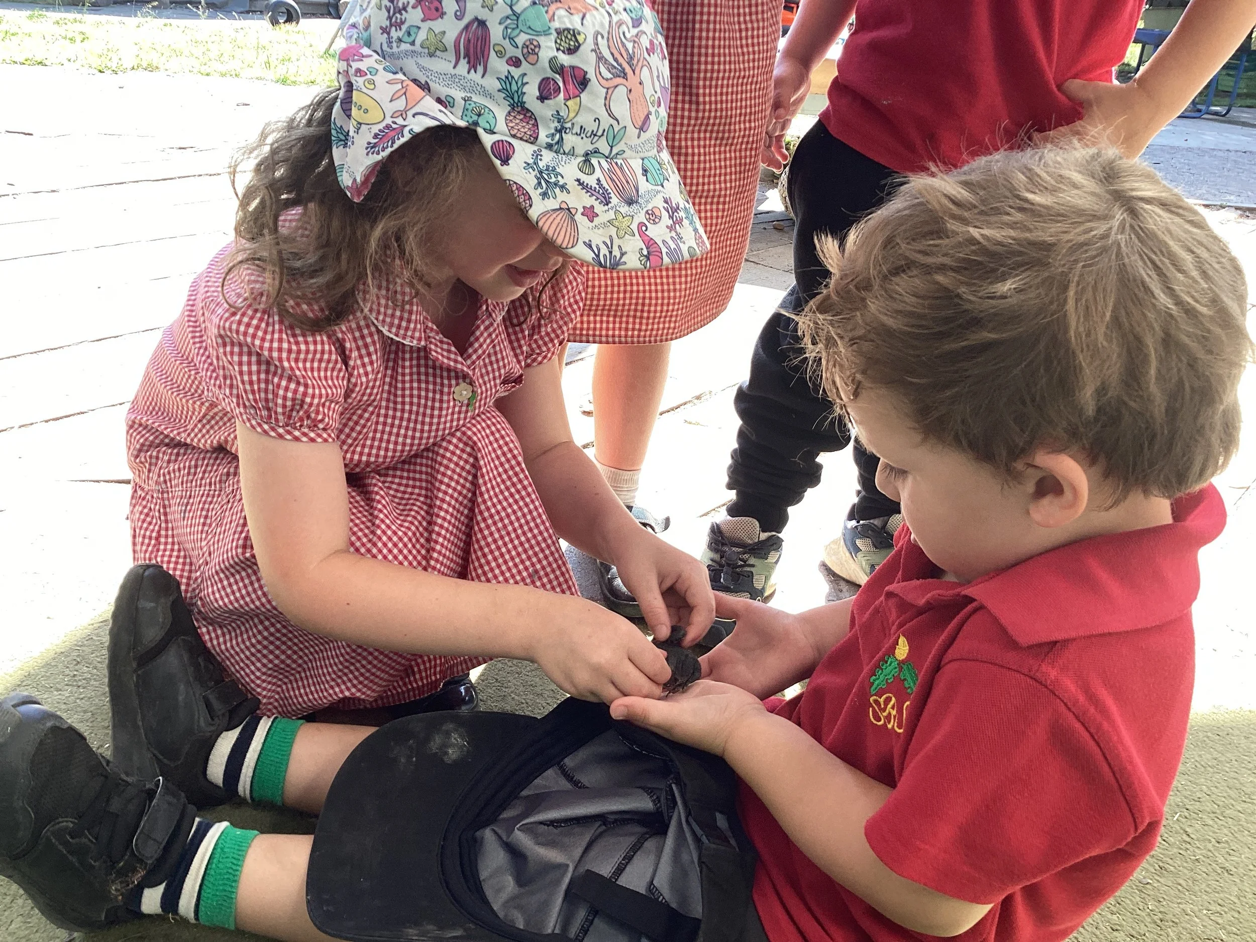 Carefully handling a creature