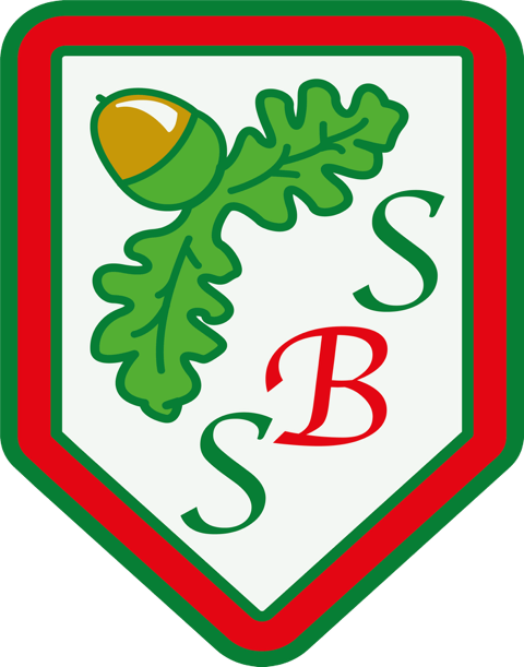 South Baddesley C of E Primary School