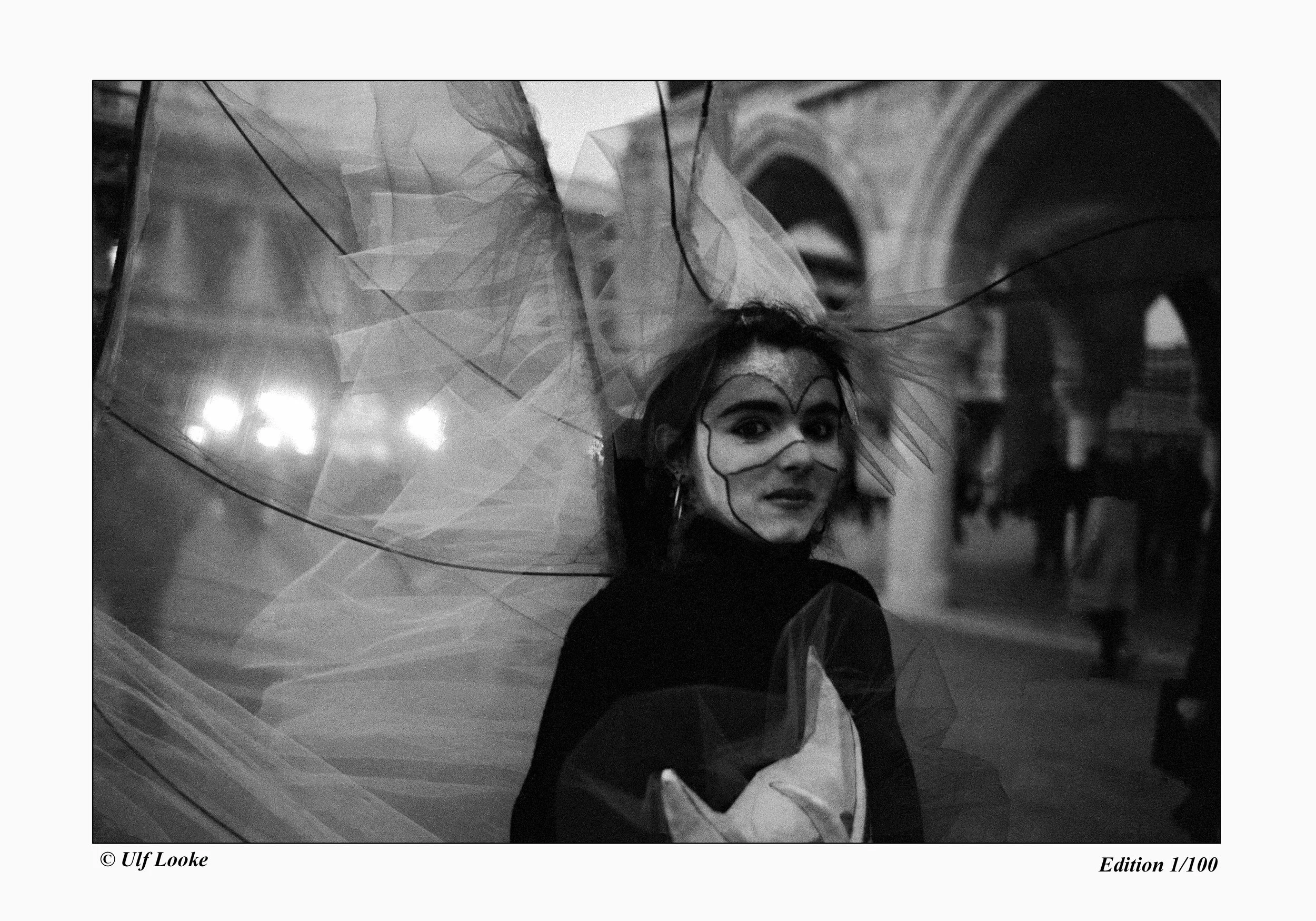 Enigmatic Elegance  0400,8