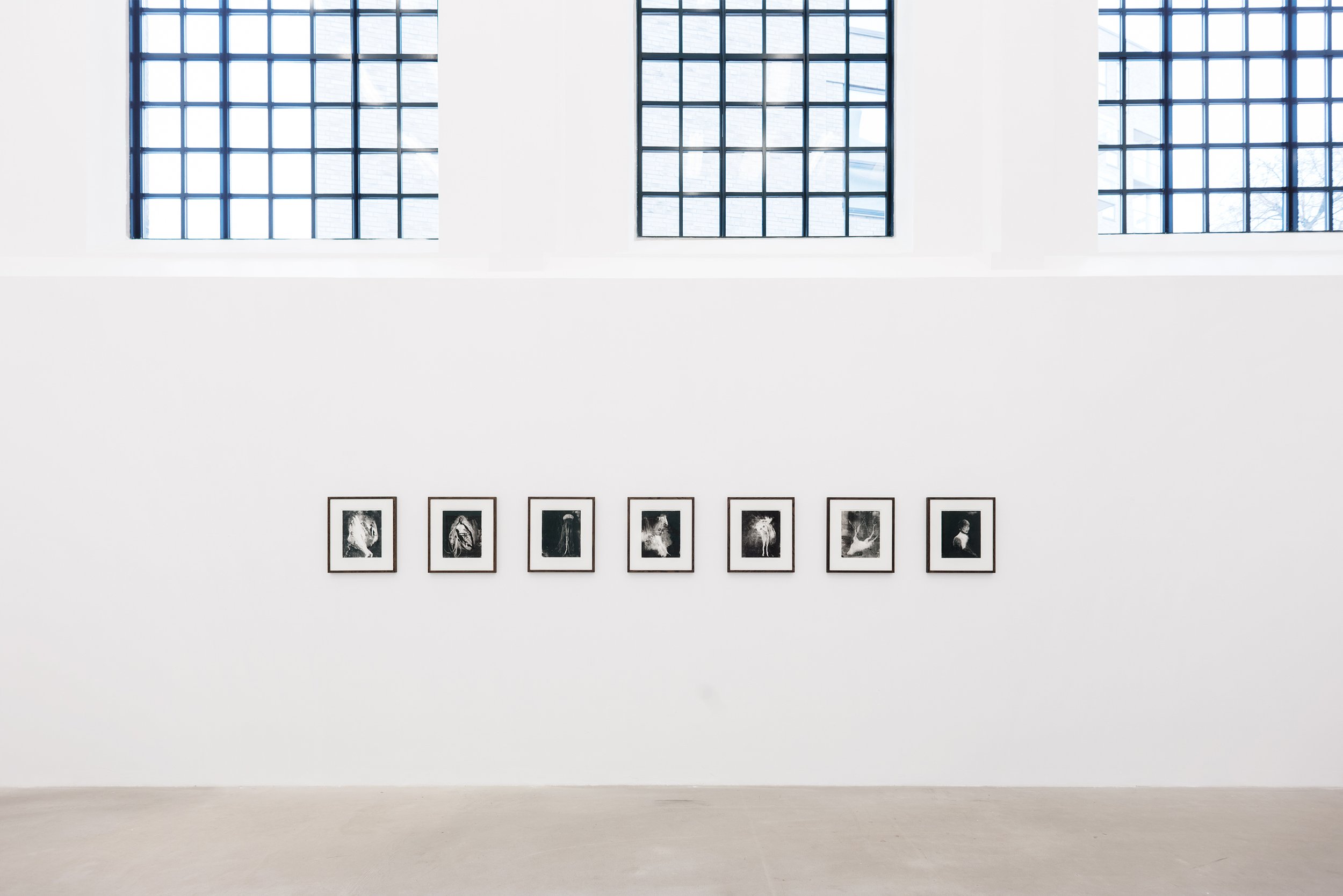 <b><big>Cathrine Raben Davidsen</b></big><br><i>Tentacular</i><br>4 April - 4 May 2019
