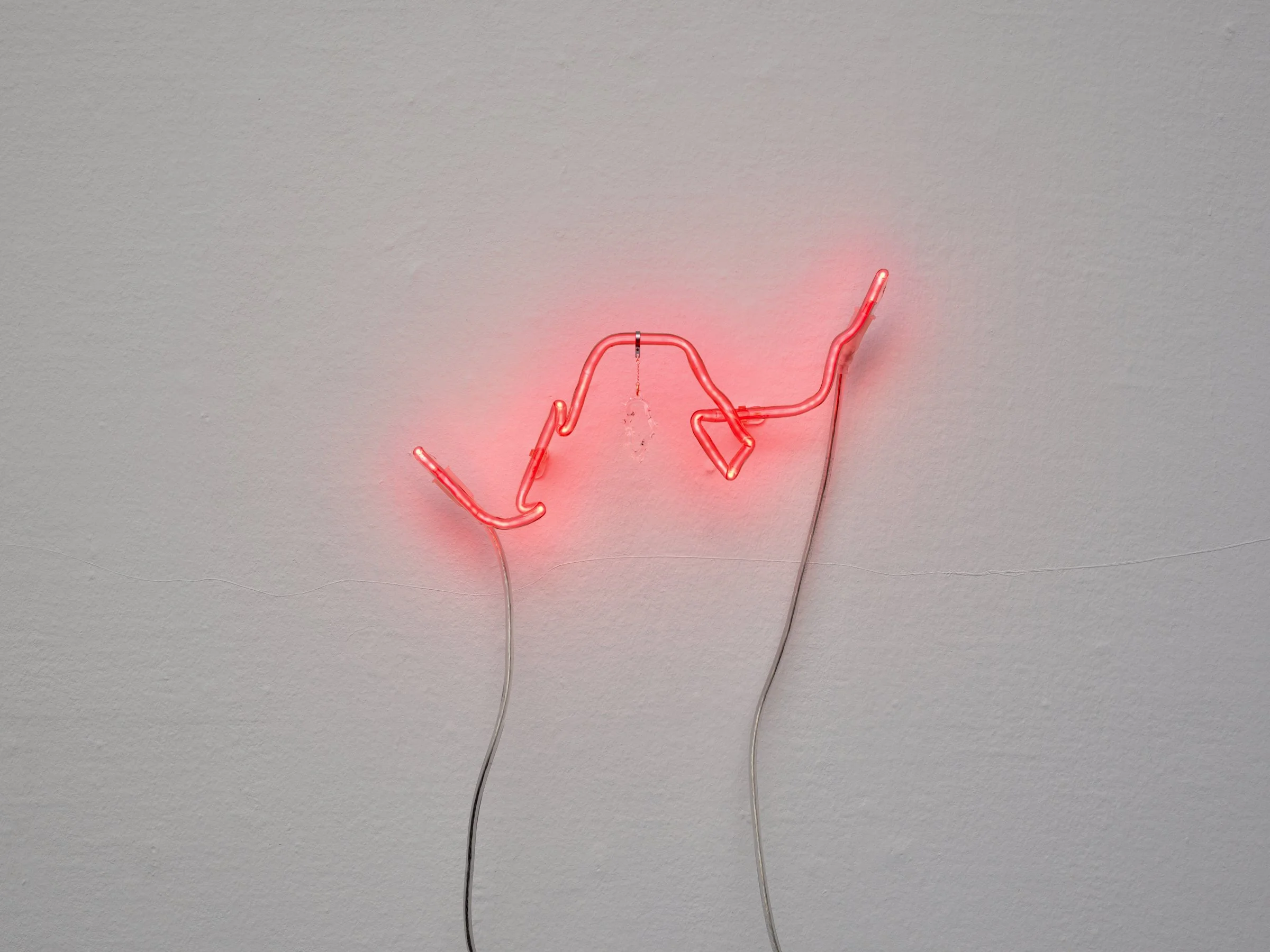 Spike poppy 1_NBG_photocredit Malle Madsen_2.jpg