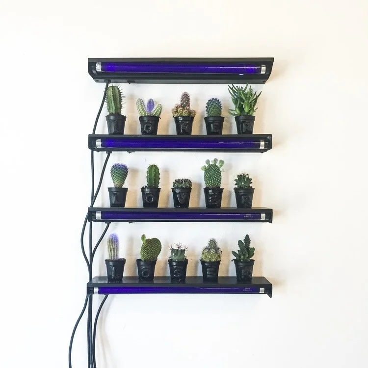 Group Show_These Walls_Galleri Jacob Bjorn_2015_IMG_9999.jpg