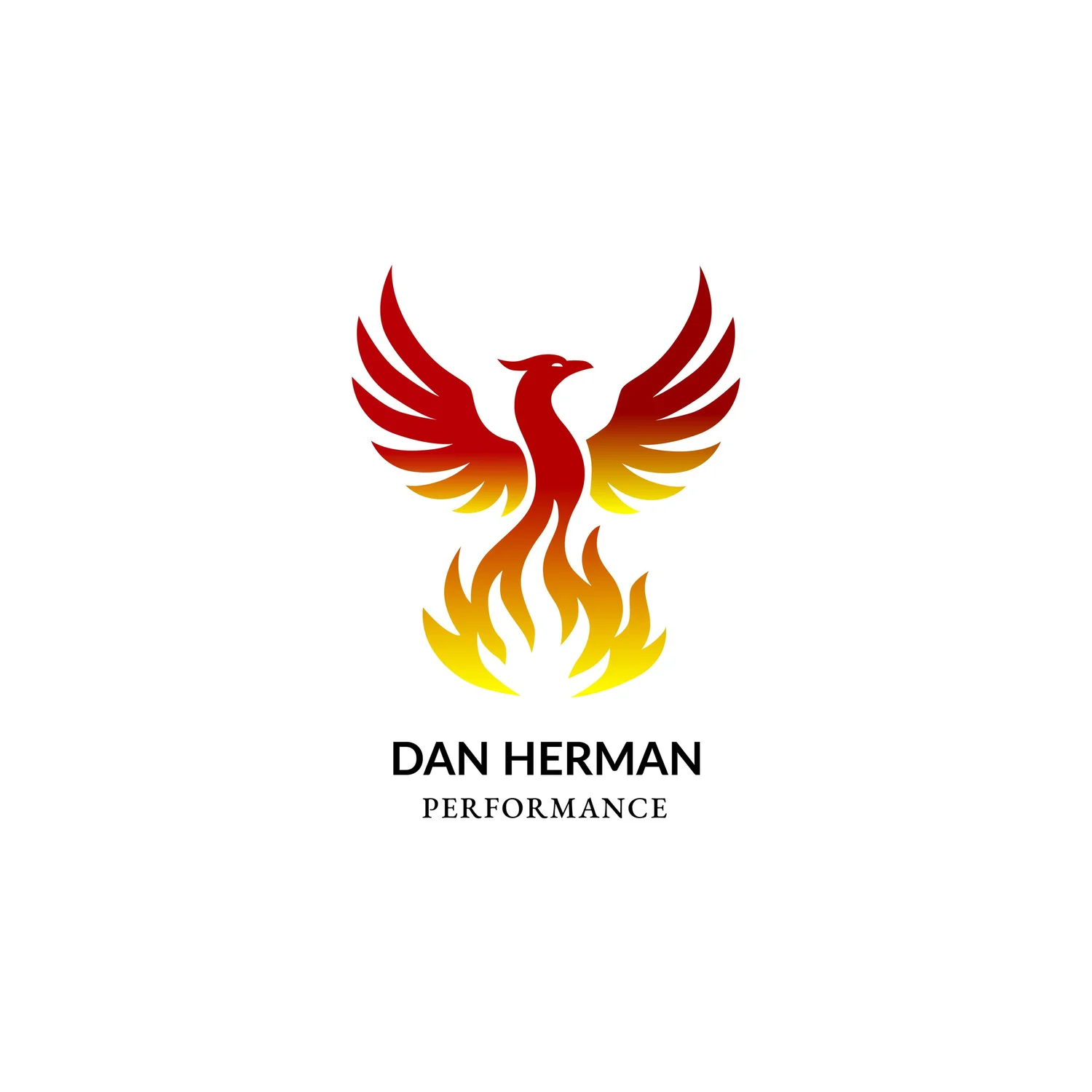 Dan Herman Performance