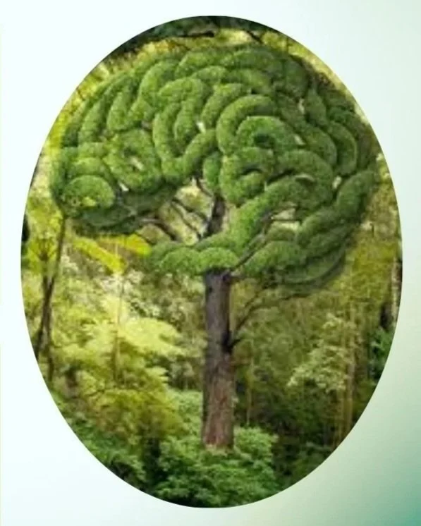 New Group Workshop Offerings….