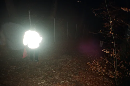 Horizontal Practices: Alisa Oleva - Walking the city at night