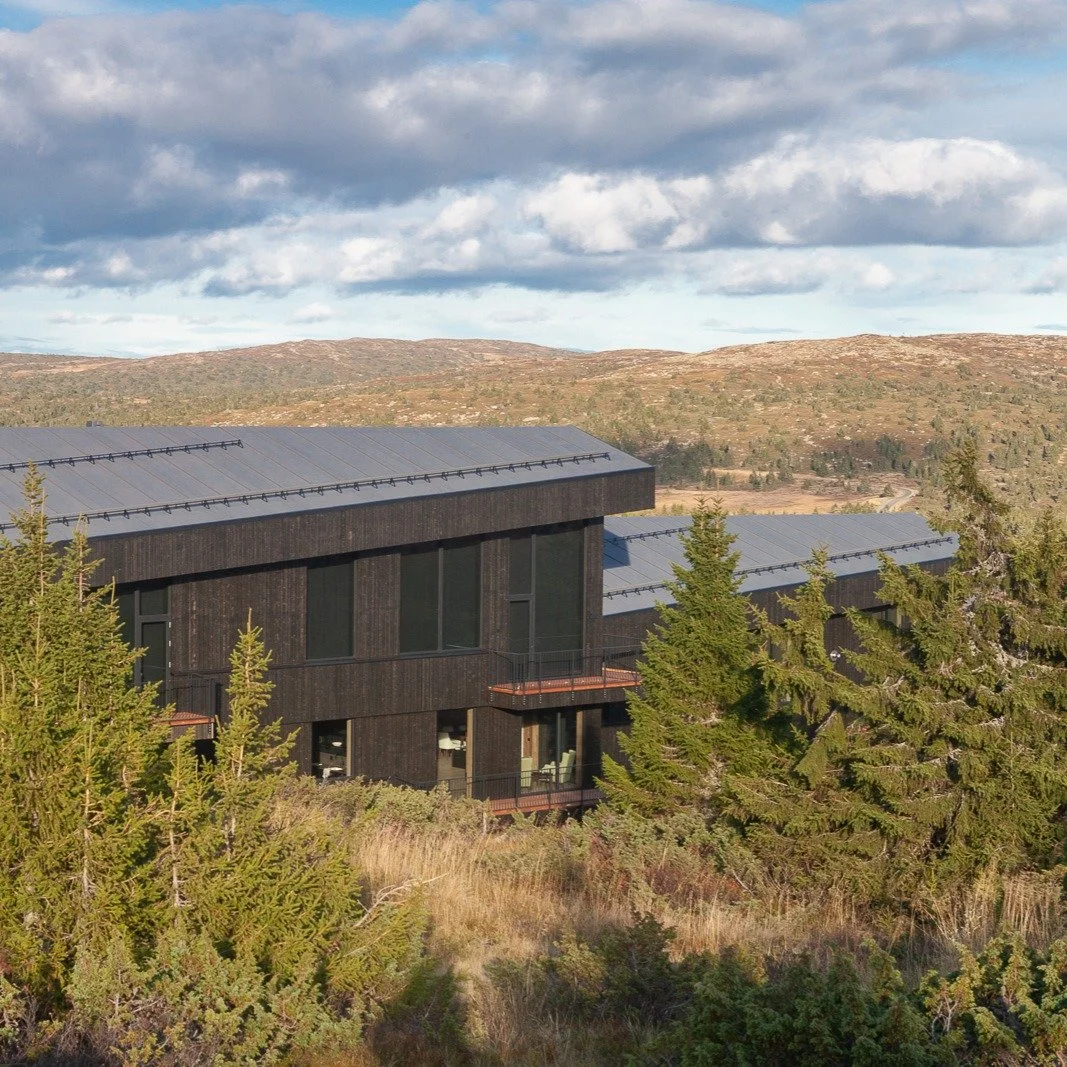 Leilighetsbyggene på Pellestova har en arkitektur preget av skrånende møner og takflater som følger landskapets naturlige linjer, samtidig som de åpner opp for flott utsikt mot Hafjelltoppen, Reinsvatnet og de omkringl